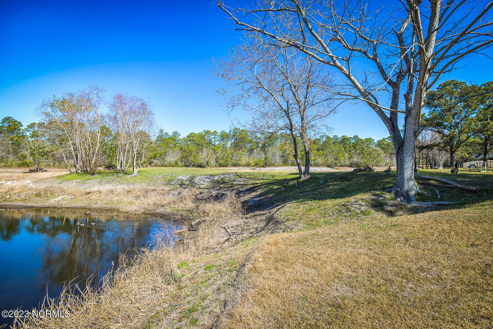 7809 Olde Pond Road Wilmington, NC 28411 - Photo 13 of 68 S7