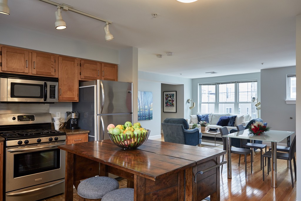 114 Library Street, Unit 114 Chelsea, MA 02150 - Photo 2 of 10 Gallery Image 2