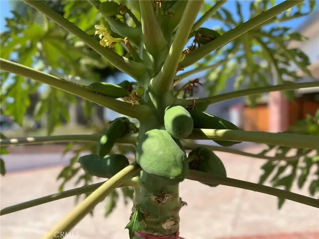 $950,000 | 12826 Bromont Avenue, San Fernando, CA 91340