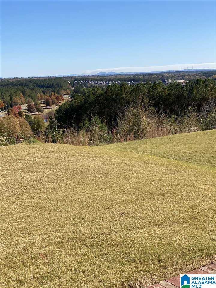 3116 Chelsea Park Ridge Chelsea, AL 35043 - Photo 22 of 25
