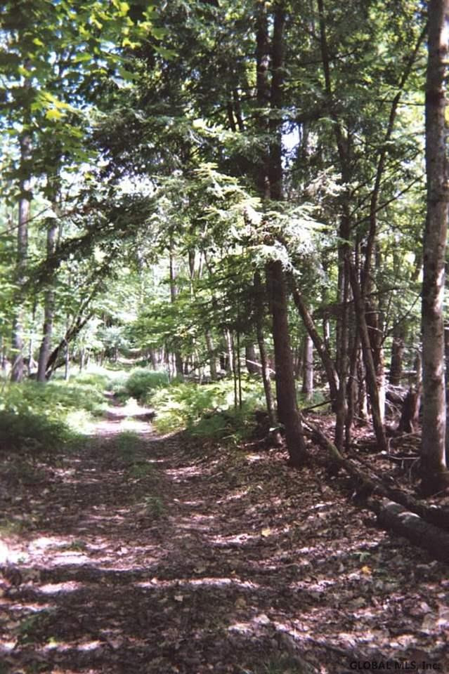 King Road Northville, NY 12134 - Photo 3 of 9 Photo 3