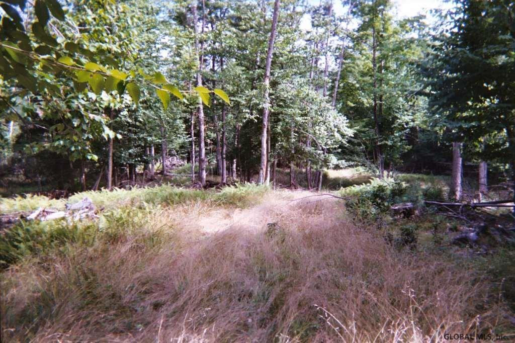 King Road Northville, NY 12134 - Photo 6 of 9 Photo 6