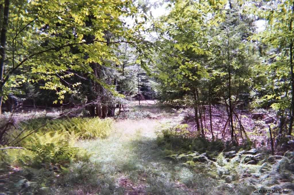 King Road Northville, NY 12134 - Photo 8 of 9 Photo 8