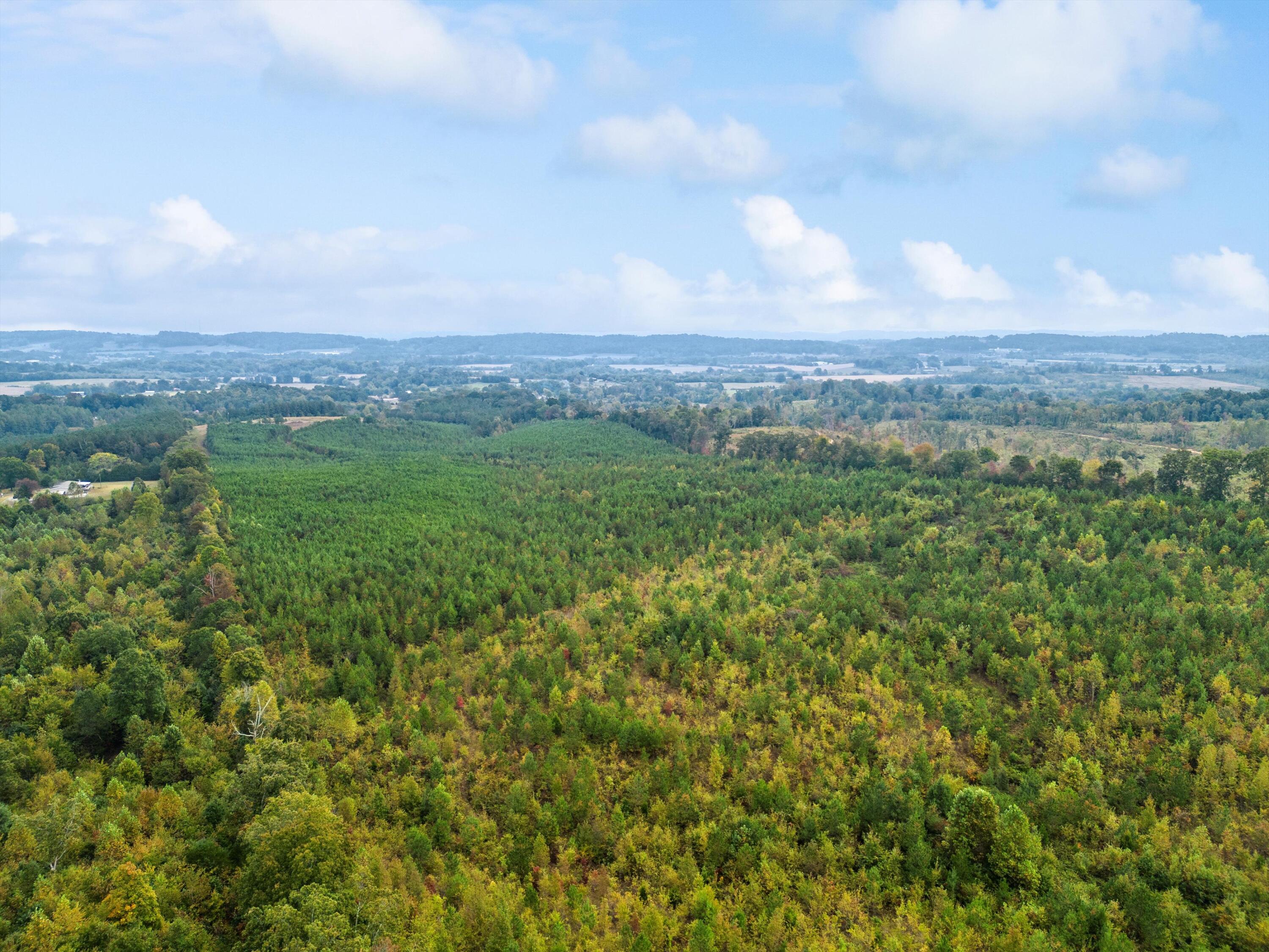 299 County Road Sweetwater, TN 37874 - Photo 16 of 29 views