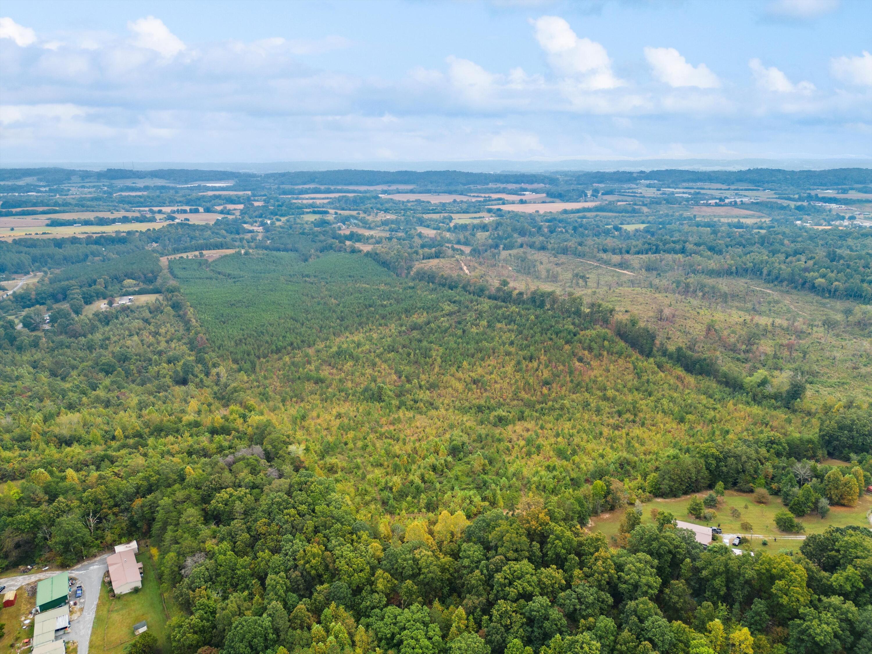 299 County Road Sweetwater, TN 37874 - Photo 17 of 29 views