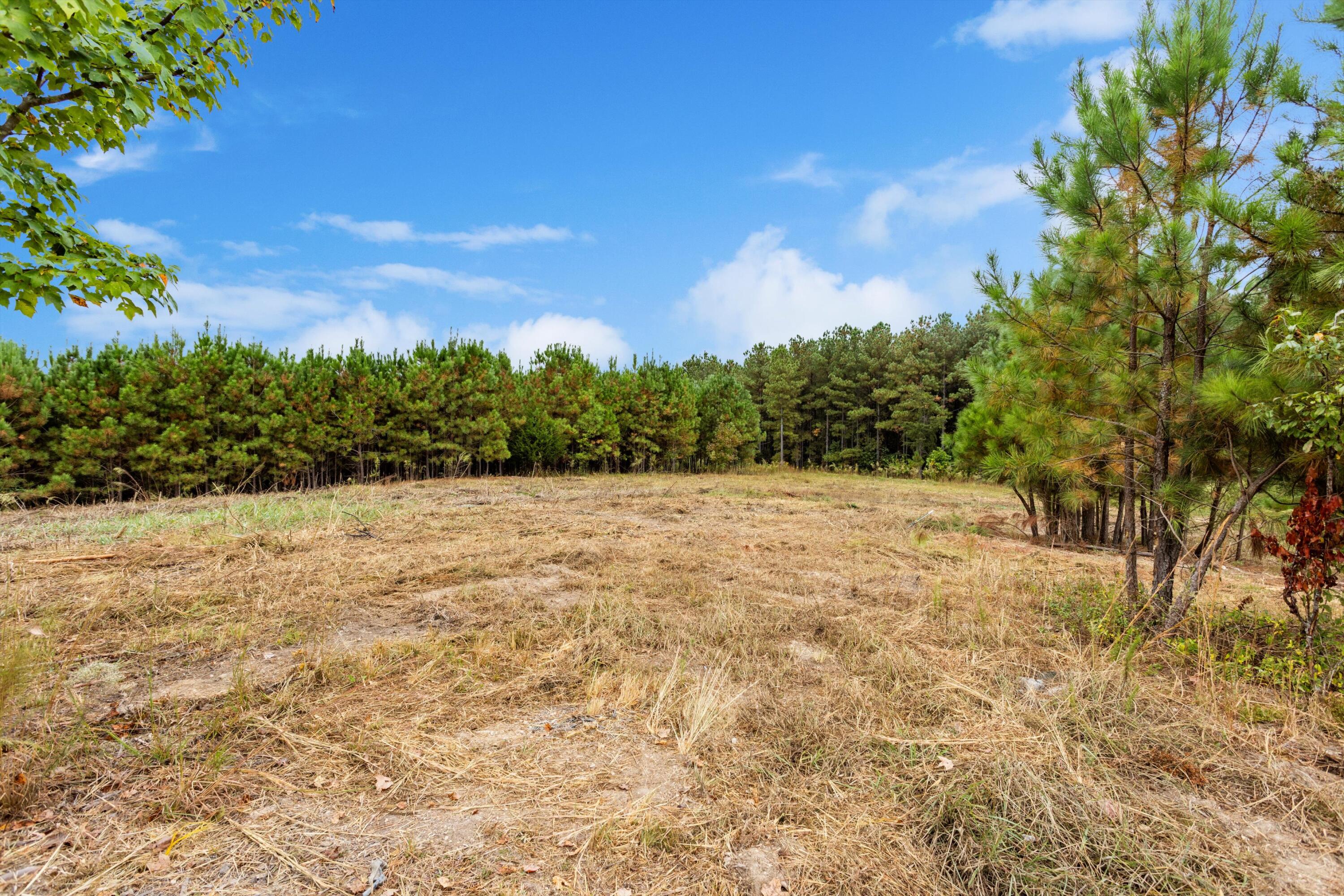299 County Road Sweetwater, TN 37874 - Photo 4 of 29 open