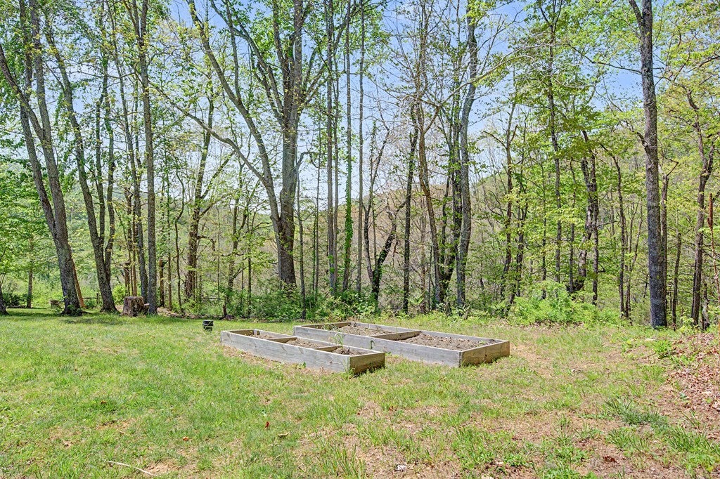 805 Sunset River Road Ceres, VA 24318 - Photo 24 of 77 Gallery Image 24