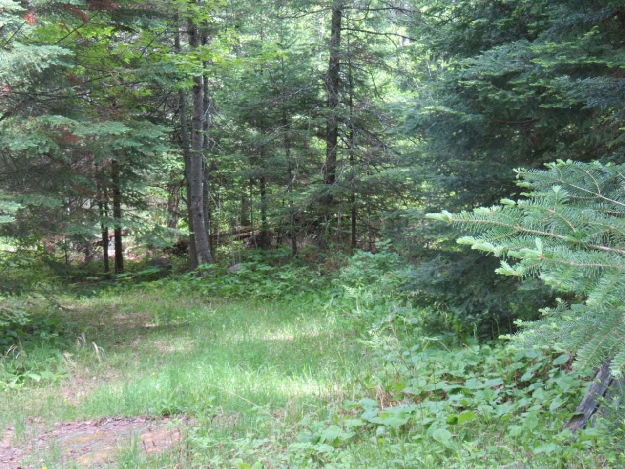 4343 Gagen Road Rhinelander, WI 54501 - Photo 4 of 5 Gallery Image 4