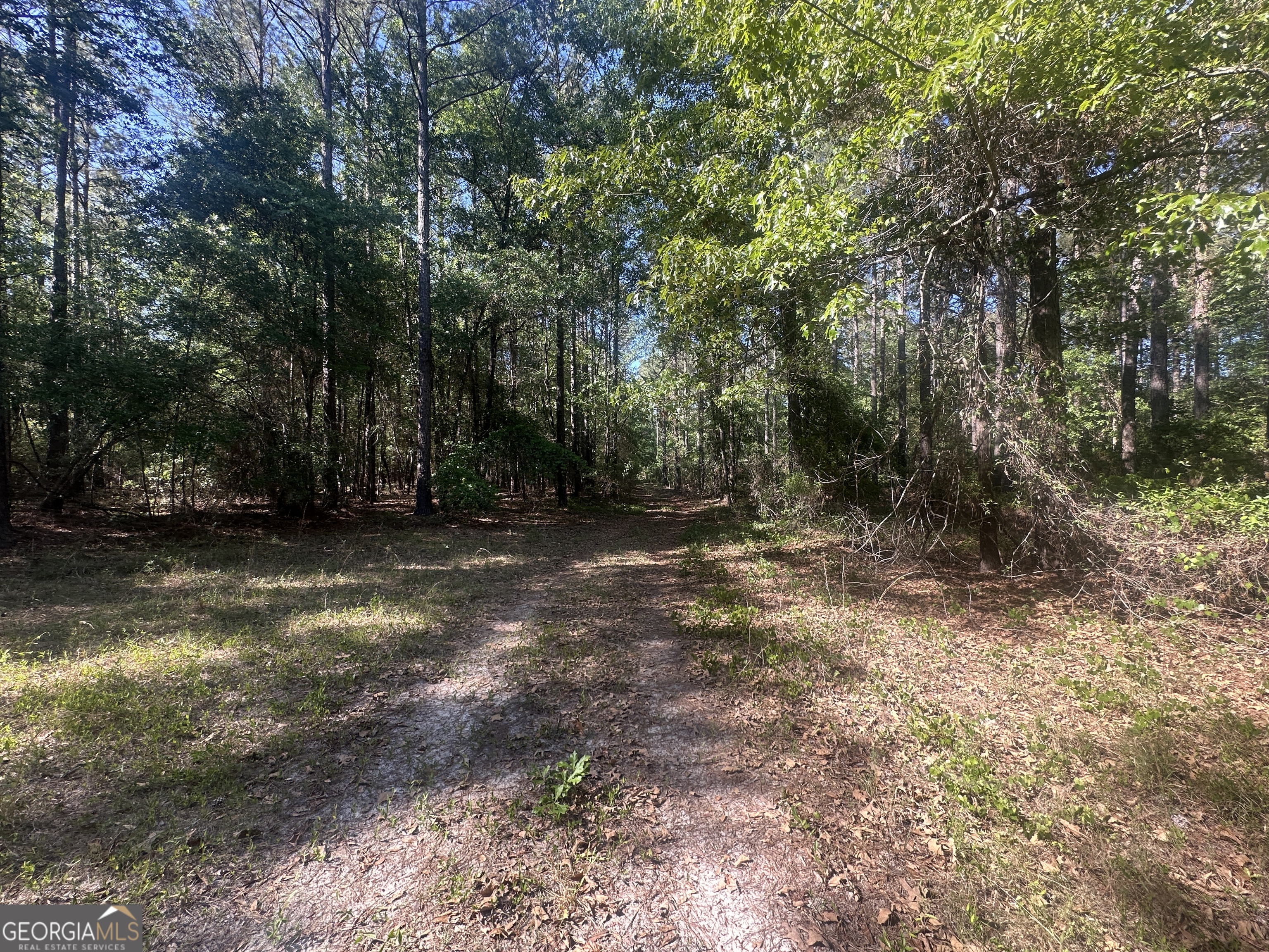 300 Country Club Road Sylvania, GA 30467 - Photo 11 of 20 a view of outdoor space with trees
