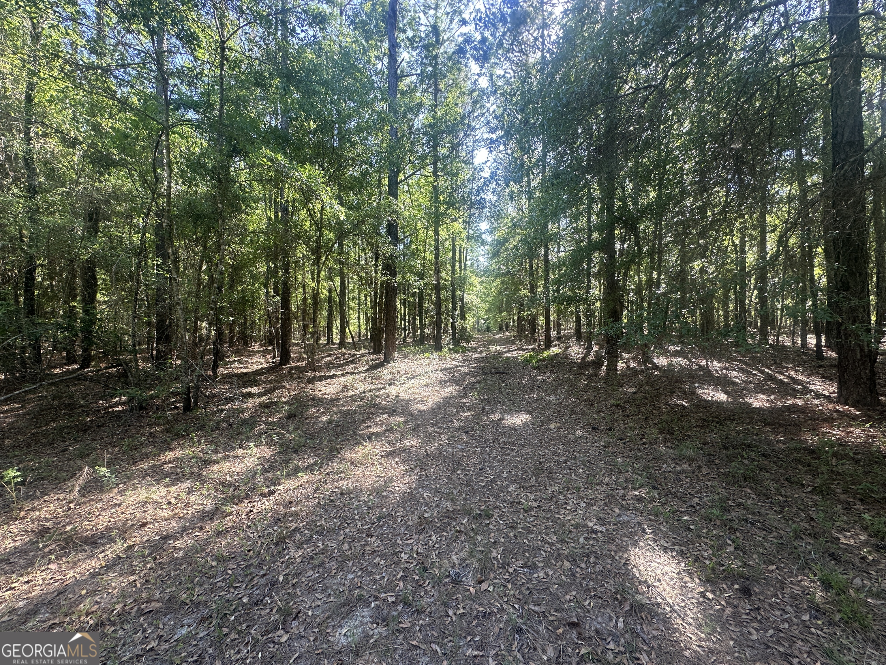 300 Country Club Road Sylvania, GA 30467 - Photo 12 of 20 a view of outdoor space with trees
