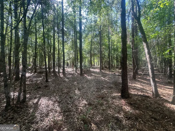 $85,000 | 300 Country Club Road, Sylvania, GA 30467