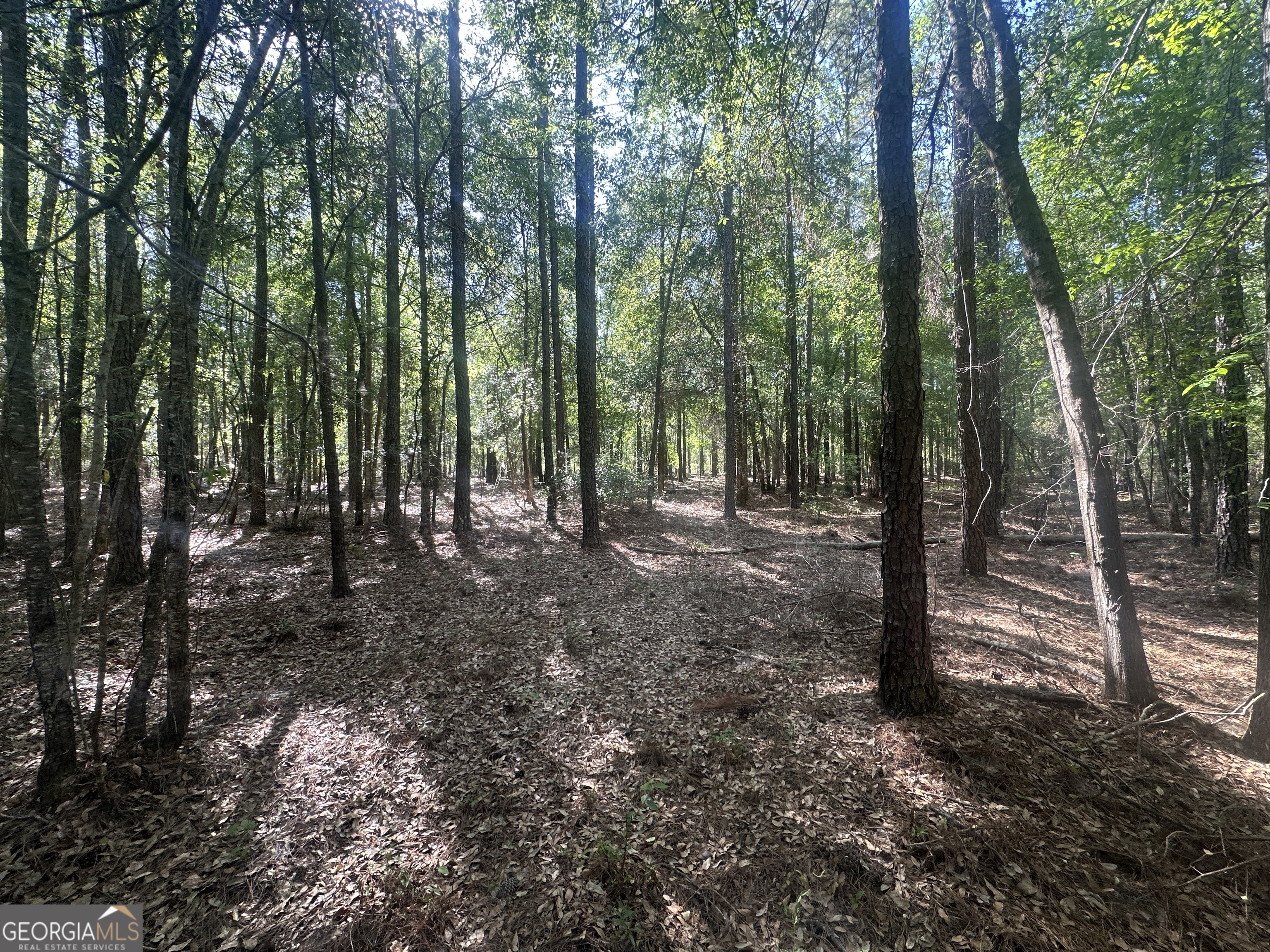300 Country Club Road Sylvania, GA 30467 - Photo 13 of 20 a view of outdoor space and green space