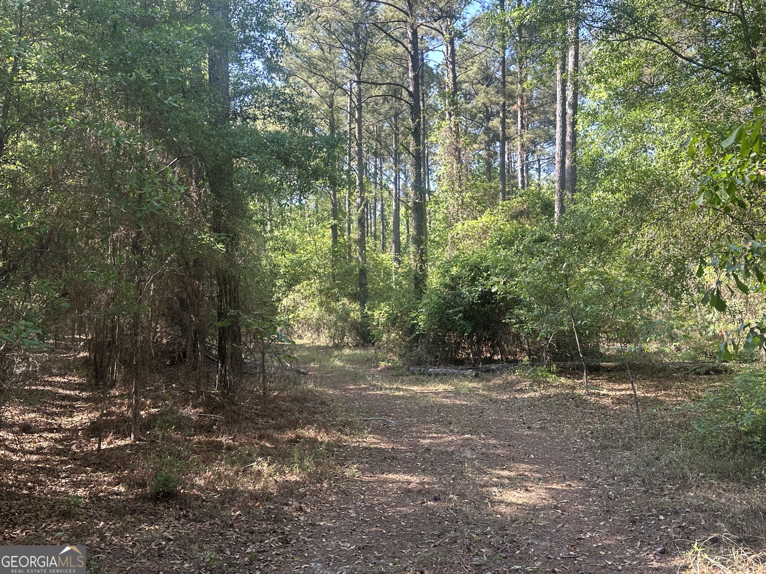 300 Country Club Road Sylvania, GA 30467 - Photo 15 of 20 a view of outdoor space and trees