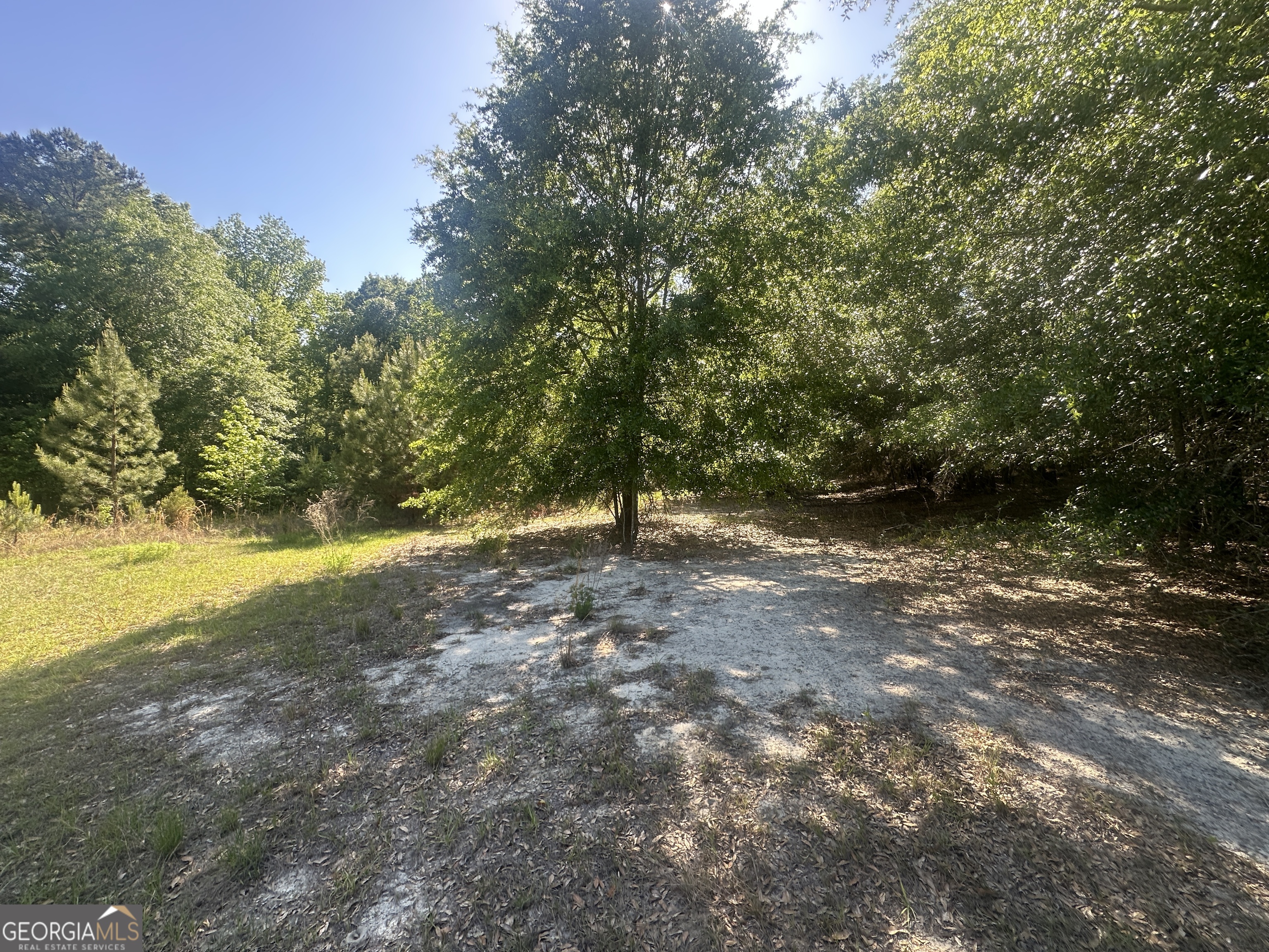 300 Country Club Road Sylvania, GA 30467 - Photo 16 of 20 a view of outdoor space and yard