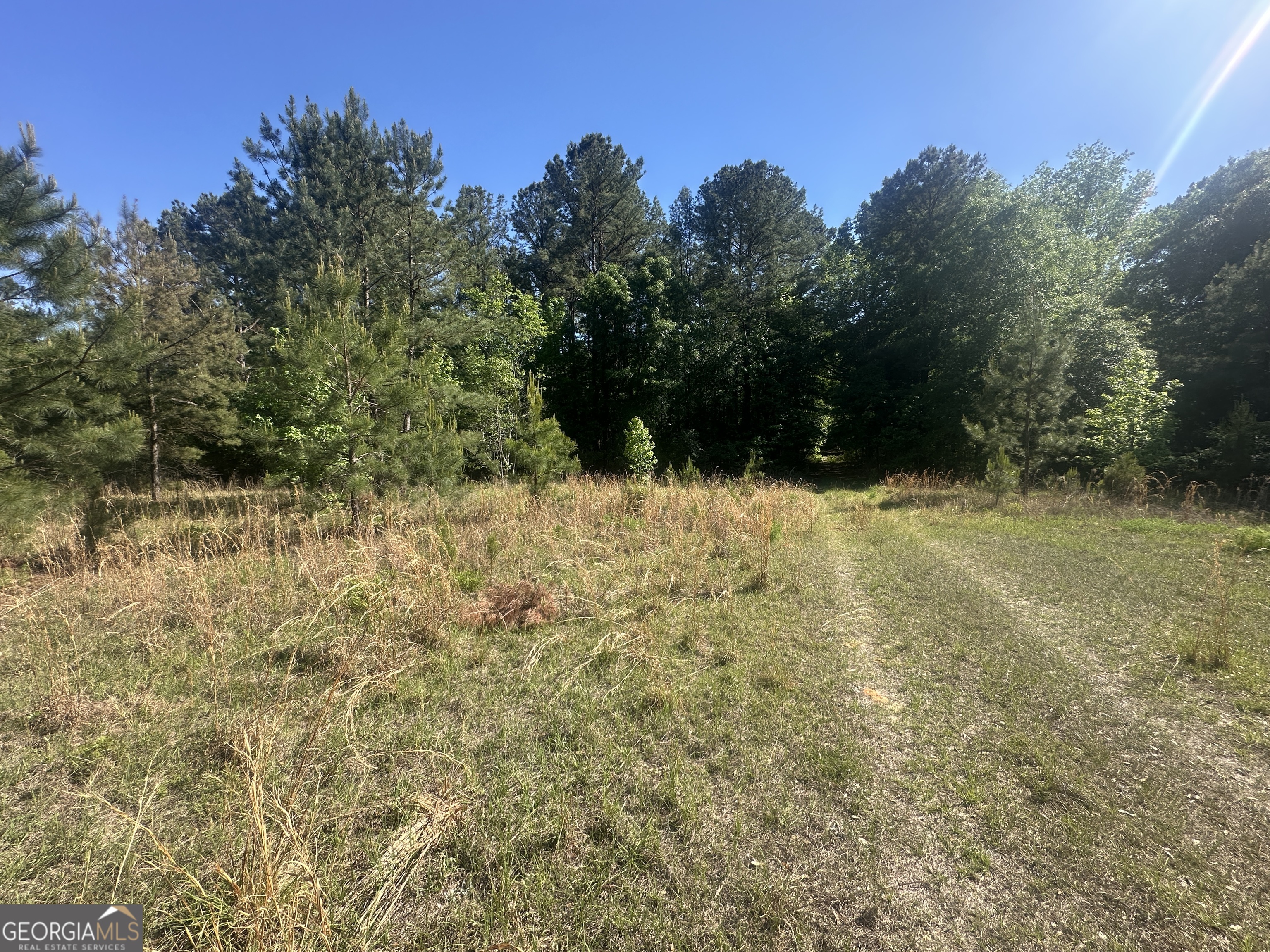 300 Country Club Road Sylvania, GA 30467 - Photo 17 of 20 a view of yard