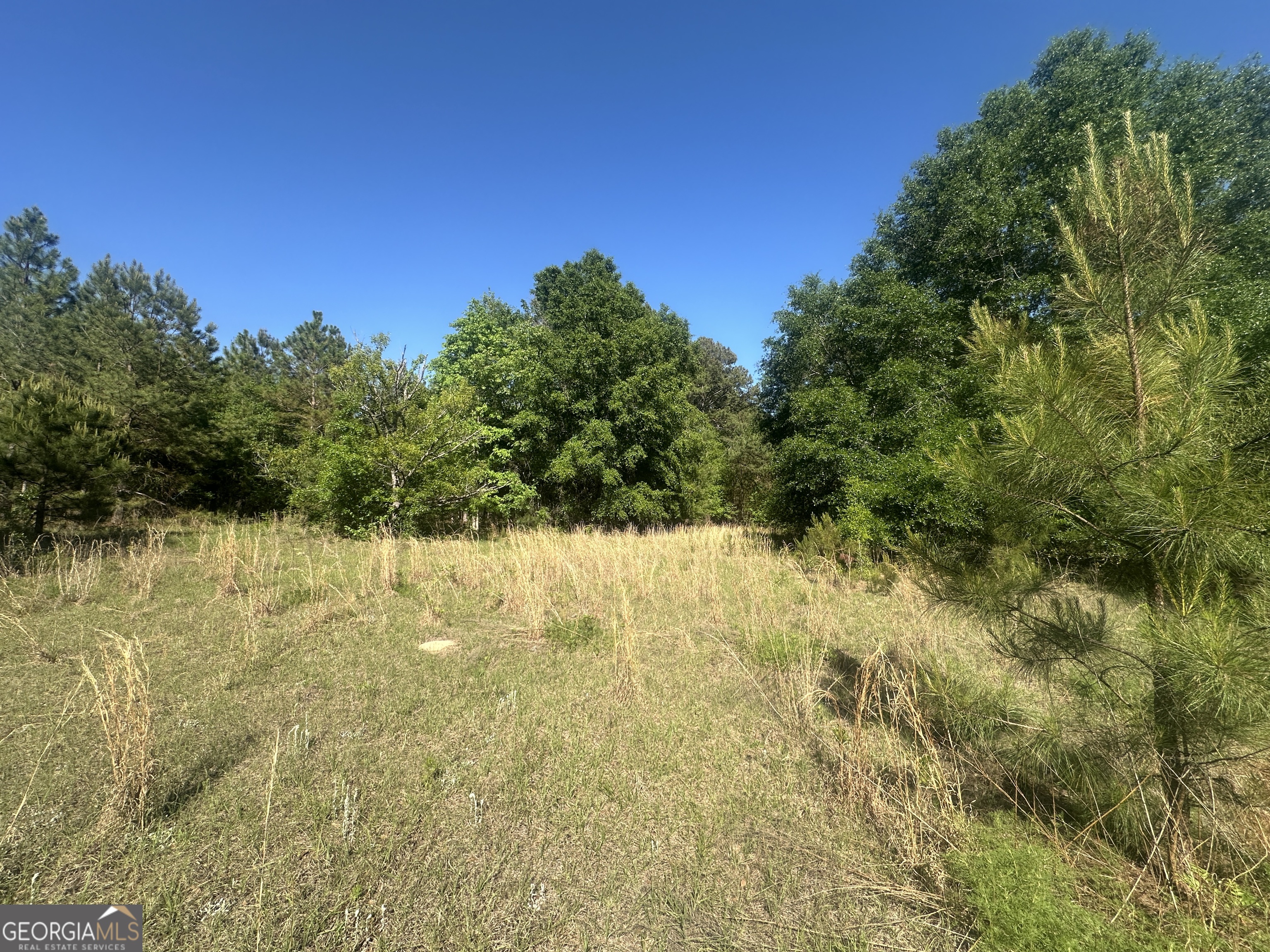 300 Country Club Road Sylvania, GA 30467 - Photo 18 of 20