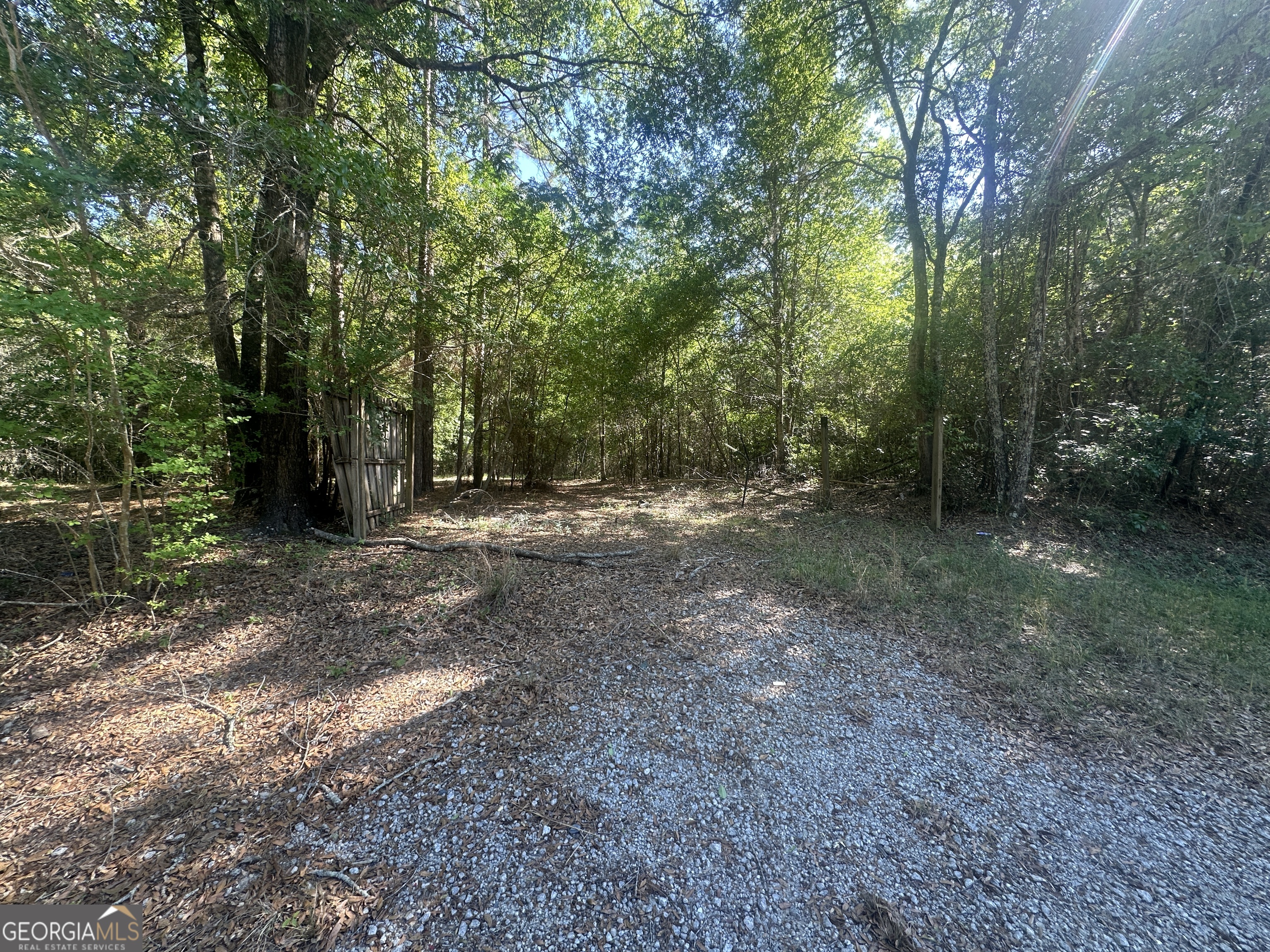 300 Country Club Road Sylvania, GA 30467 - Photo 19 of 20 a view of a forest with trees in the background
