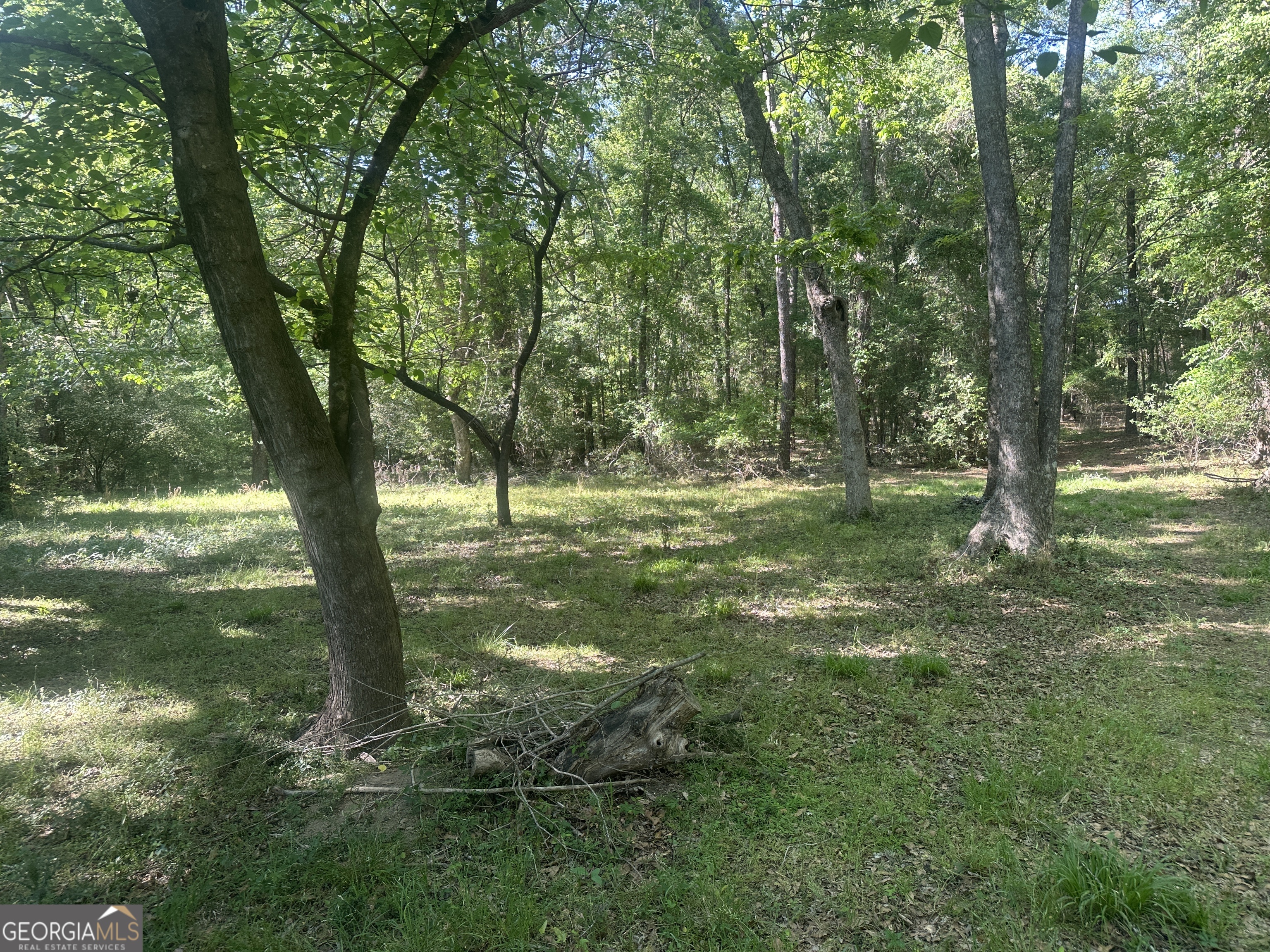 300 Country Club Road Sylvania, GA 30467 - Photo 5 of 20 a view of a trees in a yard
