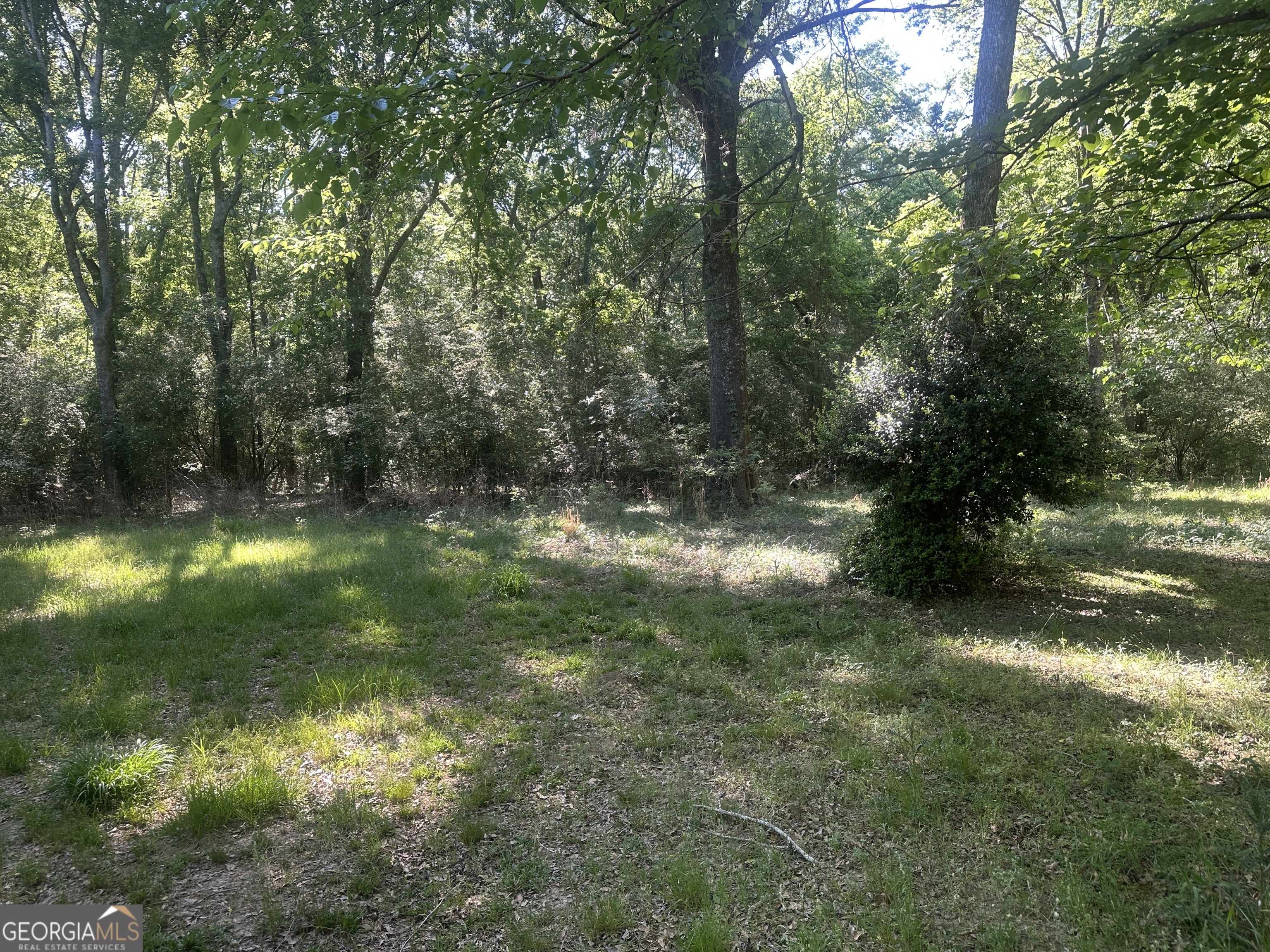 300 Country Club Road Sylvania, GA 30467 - Photo 6 of 20 a view of yard