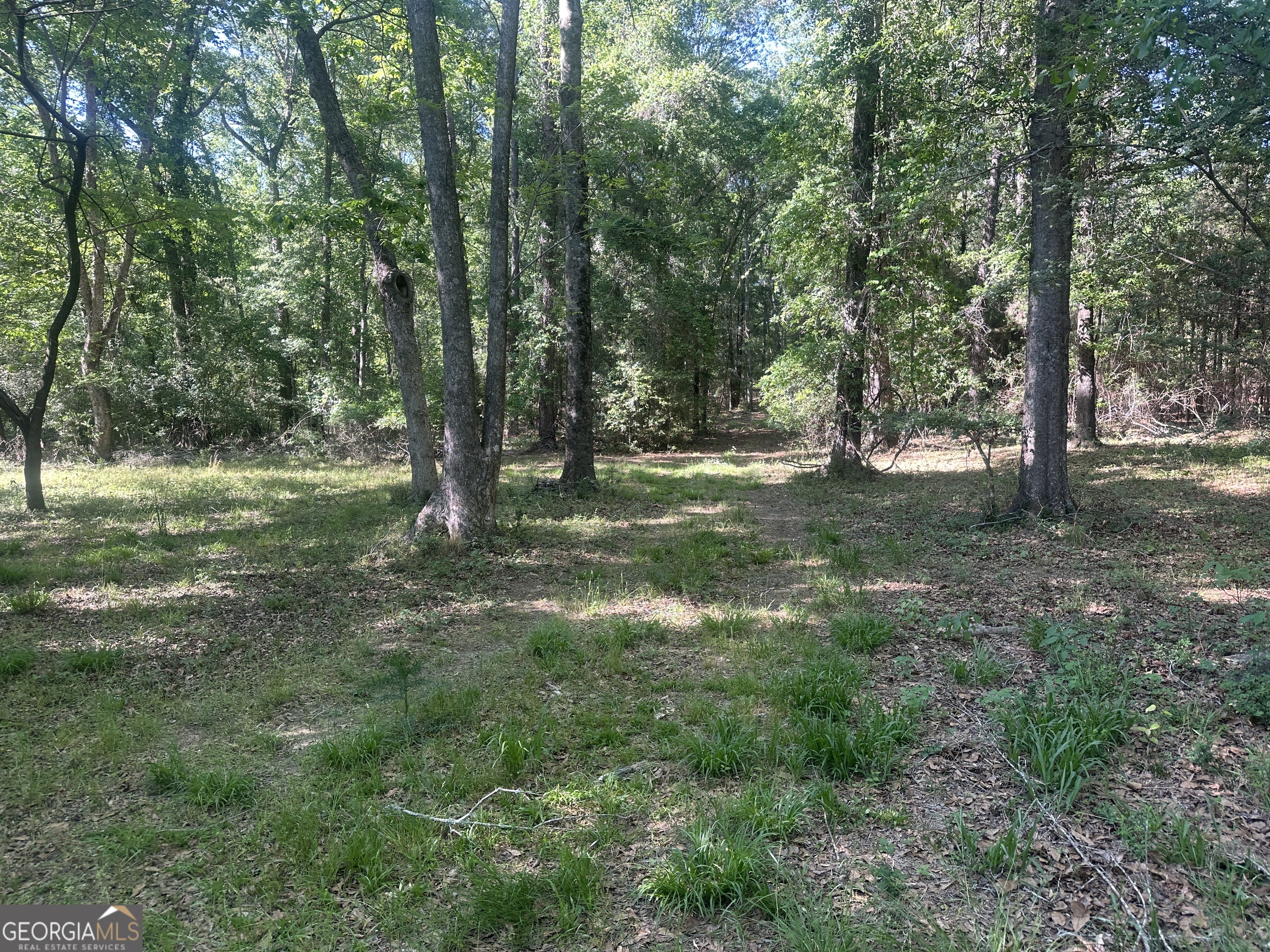 300 Country Club Road Sylvania, GA 30467 - Photo 7 of 20 a view of outdoor space with trees