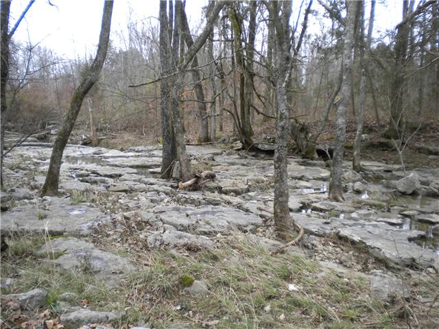 8741 Rockvale Road Rockvale, TN 37153 - Photo 2 of 7