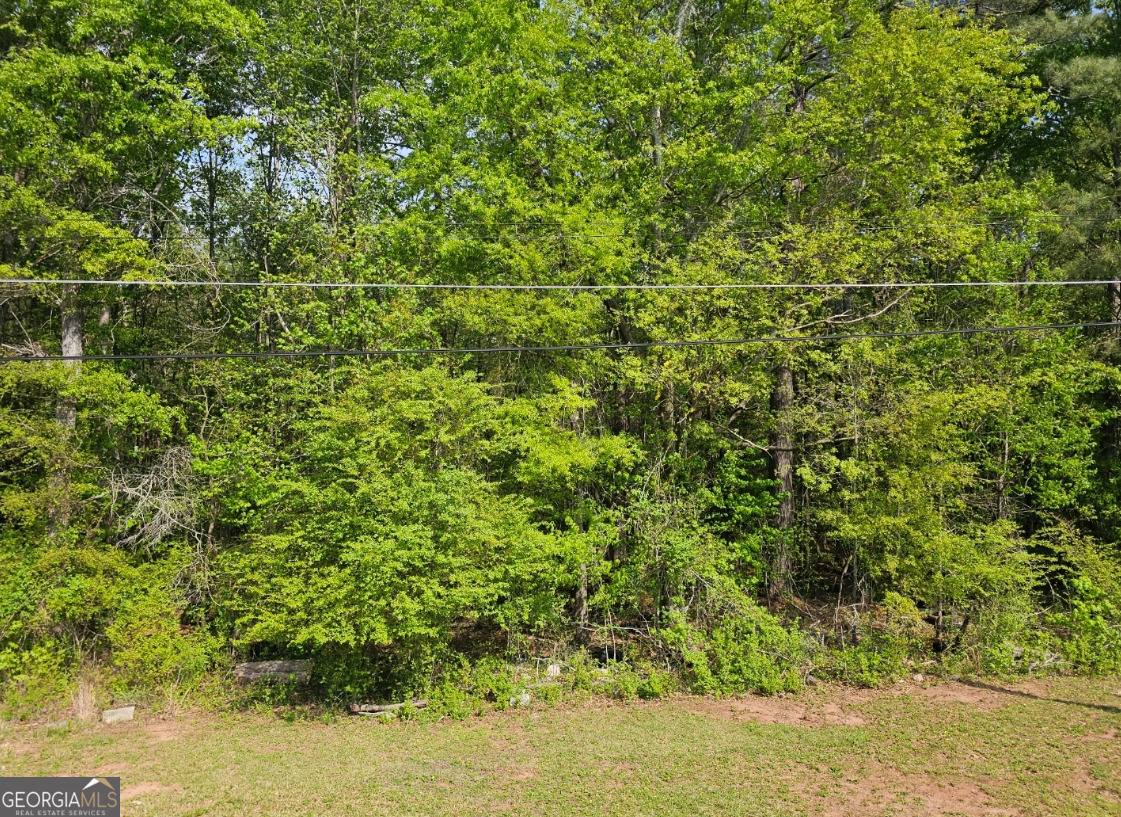 163 Kathryn Road Griffin, GA 30223 - Photo 6 of 32