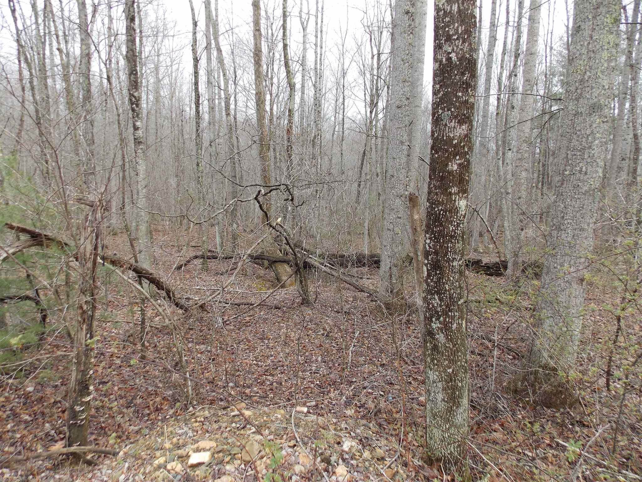 Tbd Broad Hollow Road Southeast Floyd, VA 24091 - Photo 2 of 45 Gallery Image 2