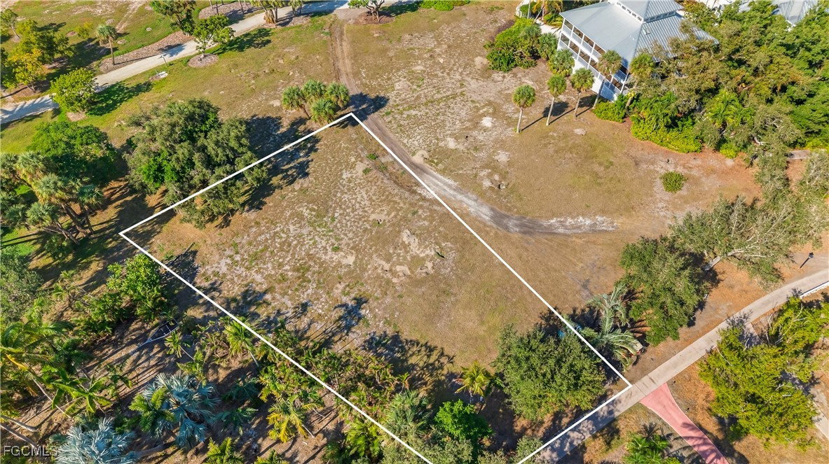 326 Useppa Useppa Island Bokeelia, FL 33922 - Photo 18 of 20 a view of a plant in a garden