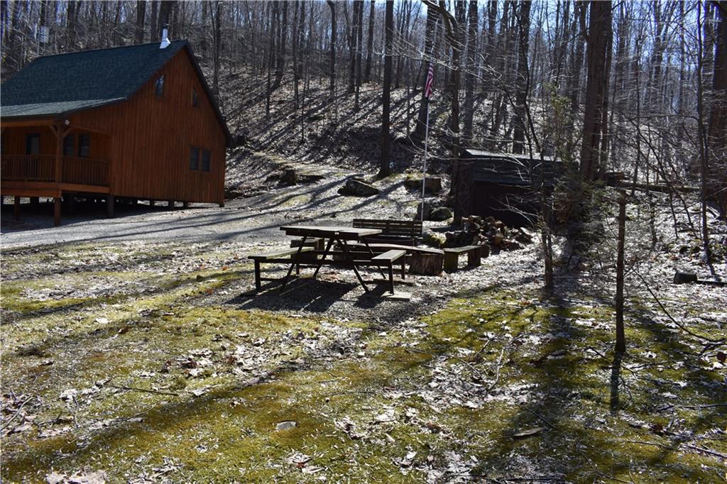155 Rock Run Road Rector, PA 15677 - Photo 18 of 23 Relax by the campfire or have a picnic