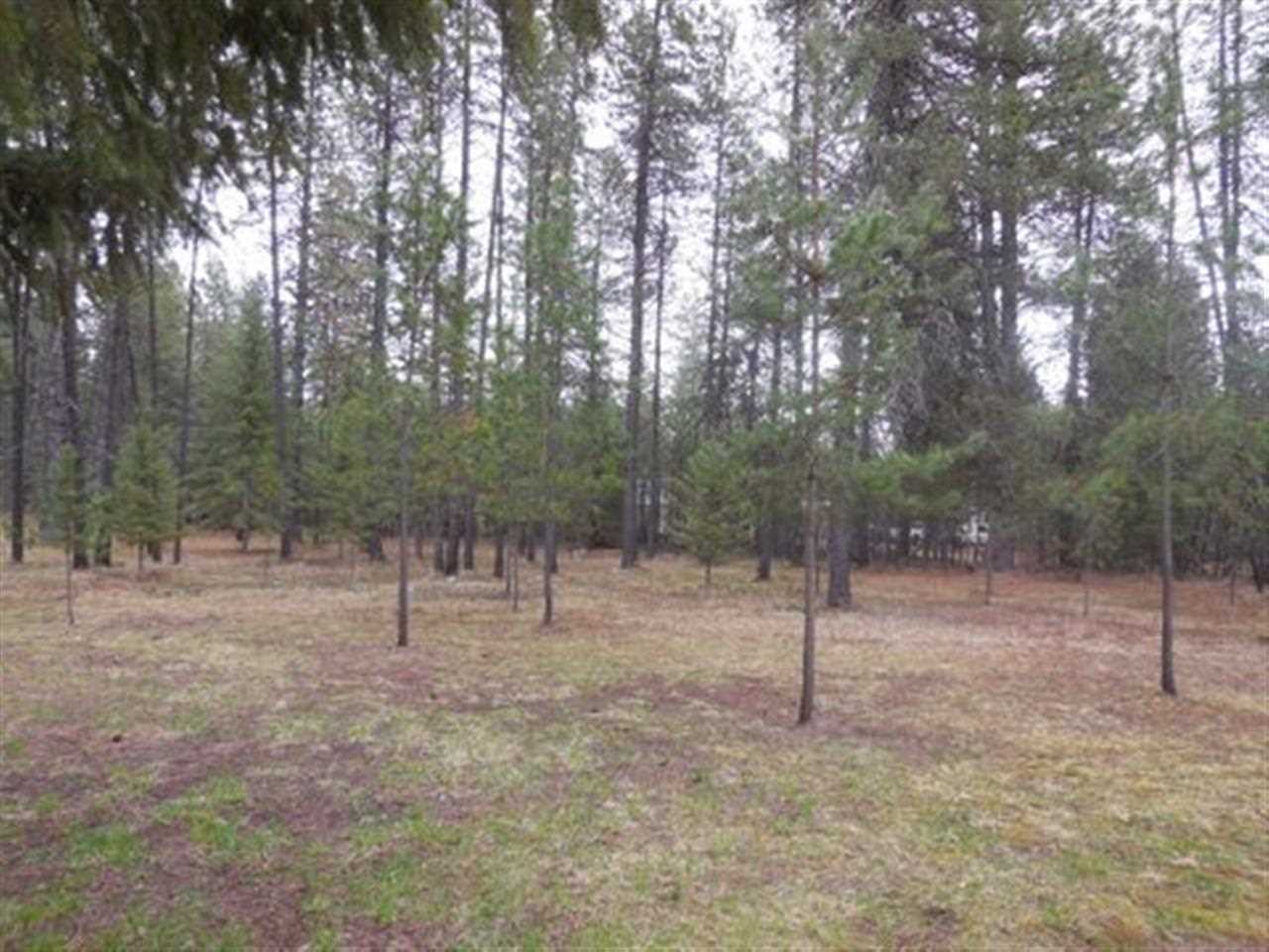 38324 North Hatch Road Deer Park, WA 99006 - Photo 20 of 20 Gallery Image 20