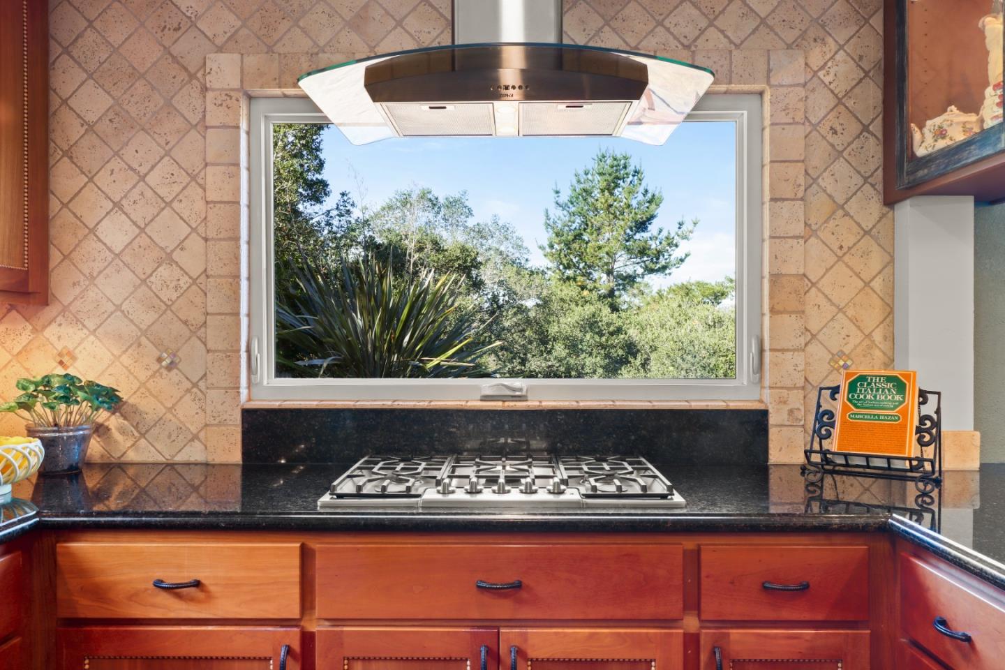 17920 Berta Canyon Road Salinas, CA 93907 - Photo 12 of 36 a kitchen with a stove and a potted plant