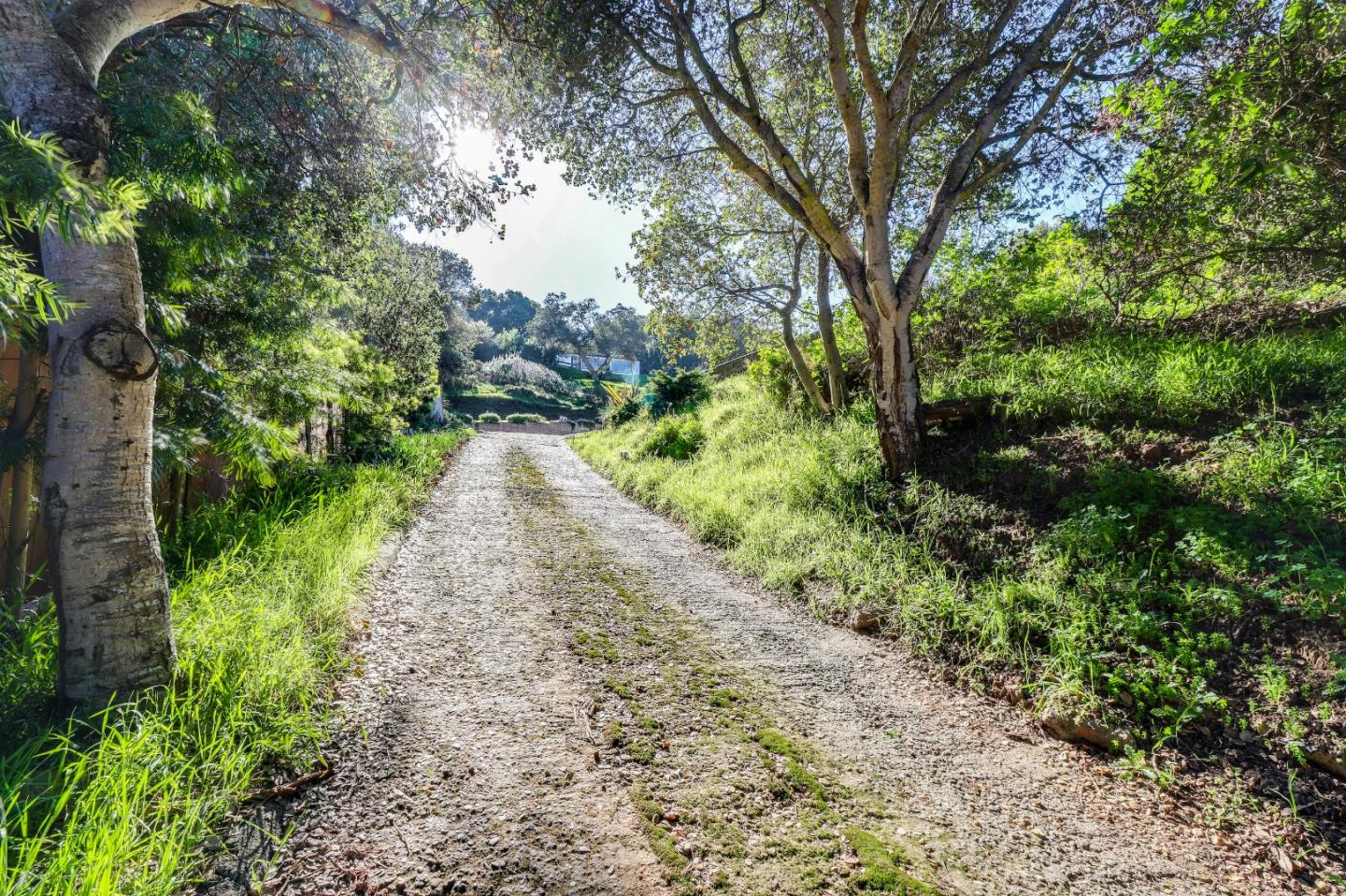 17920 Berta Canyon Road Salinas, CA 93907 - Photo 34 of 36 a view of a pathway both side of yard