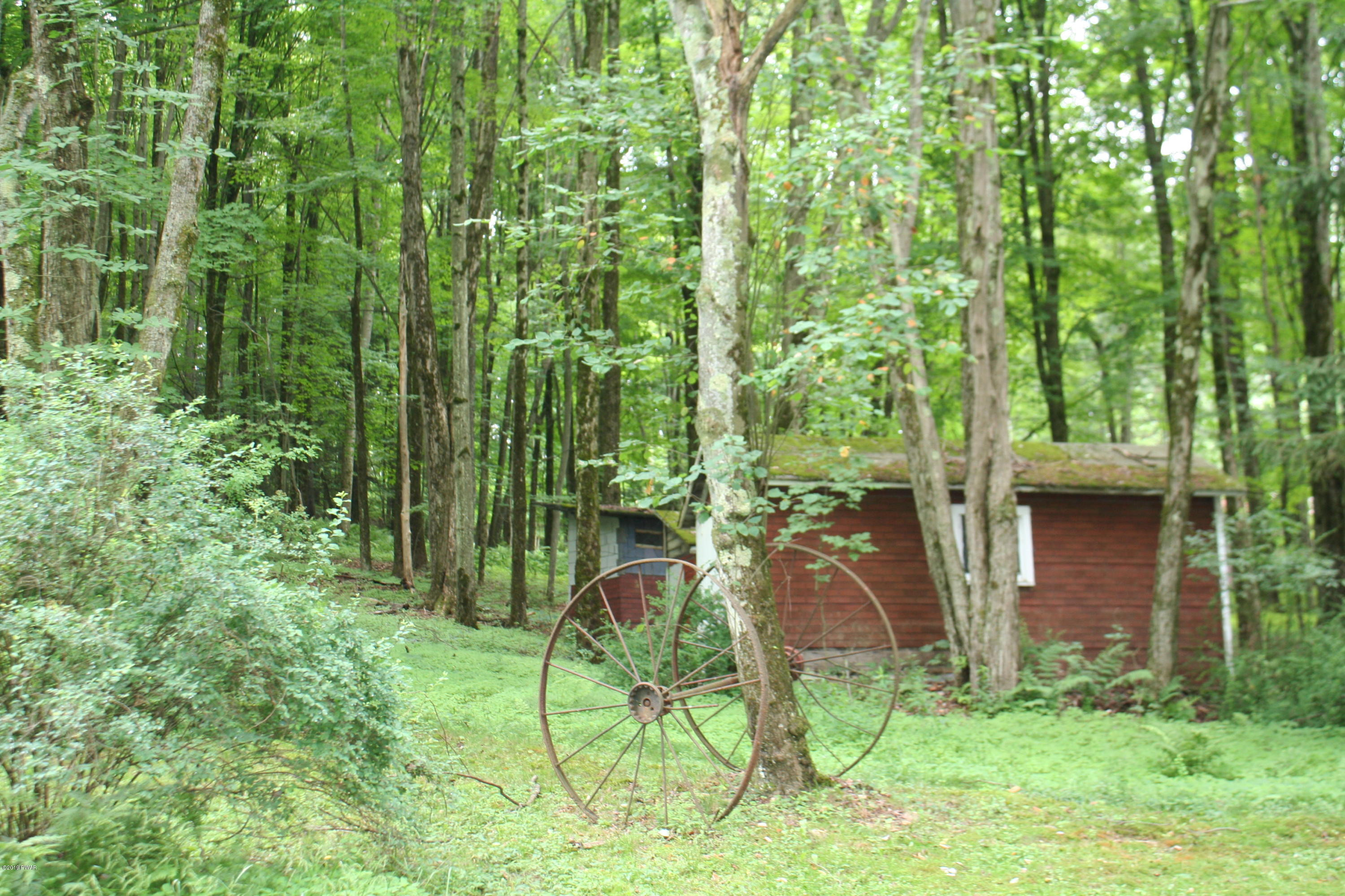 331 Starlight Lake Road Starlight, PA 18461 - Photo 7 of 17
