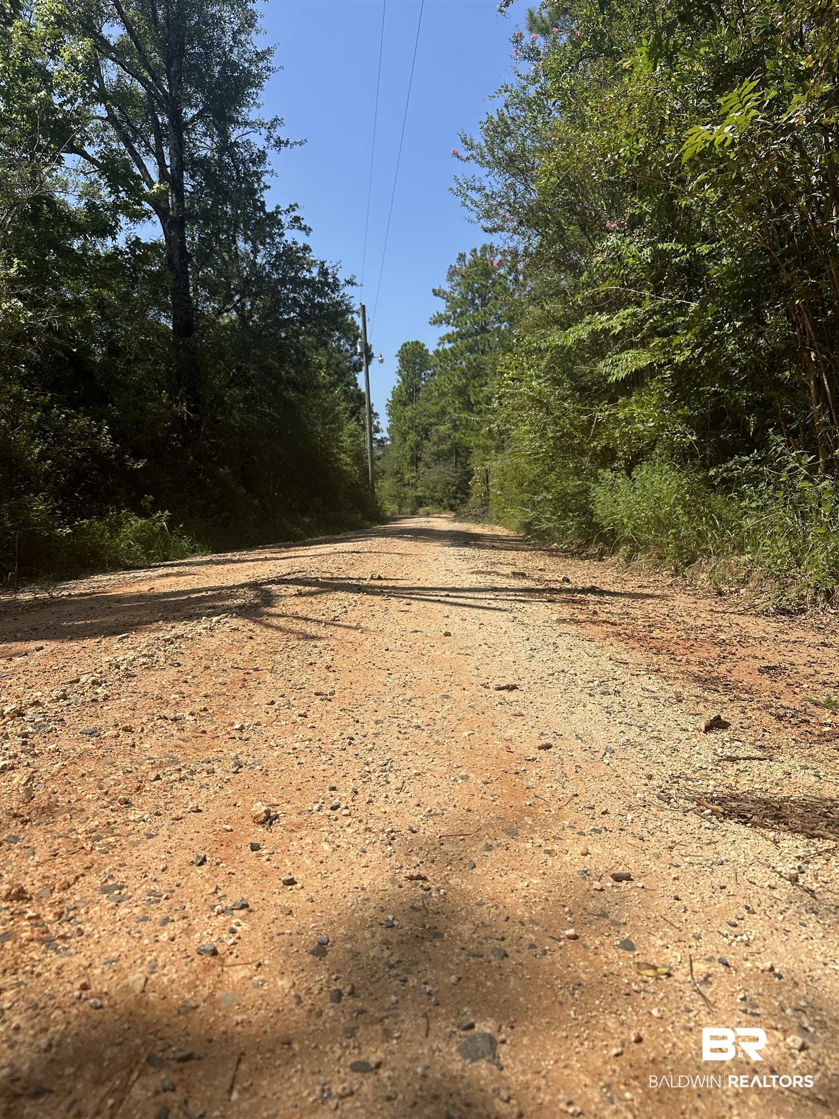 17175 Kelly Road Mount Vernon, AL 36560 - Photo 12 of 30 View of local wilderness