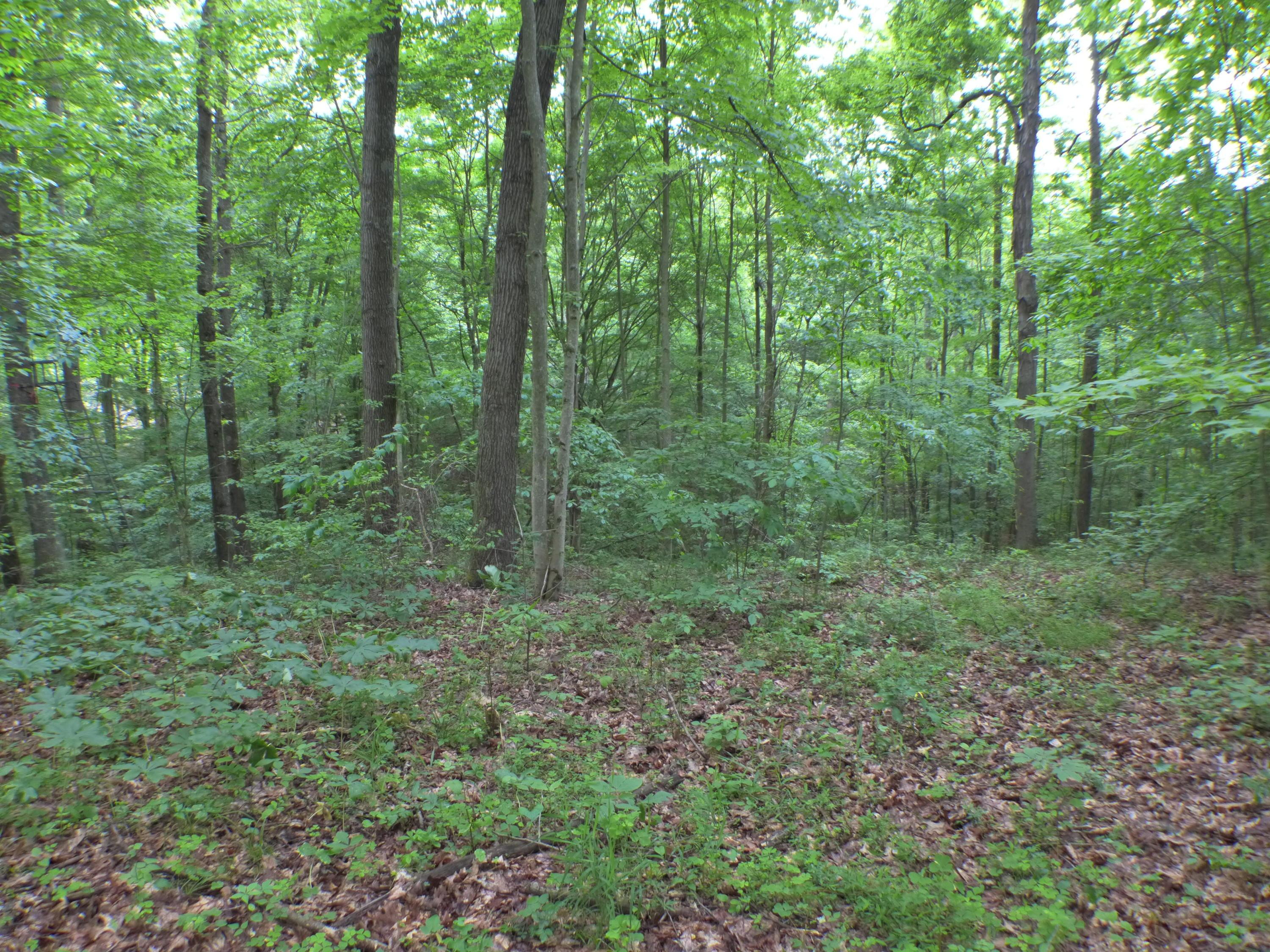 33982 Blackburn Road Logan, OH 43138 - Photo 11 of 21 Gallery Image 11