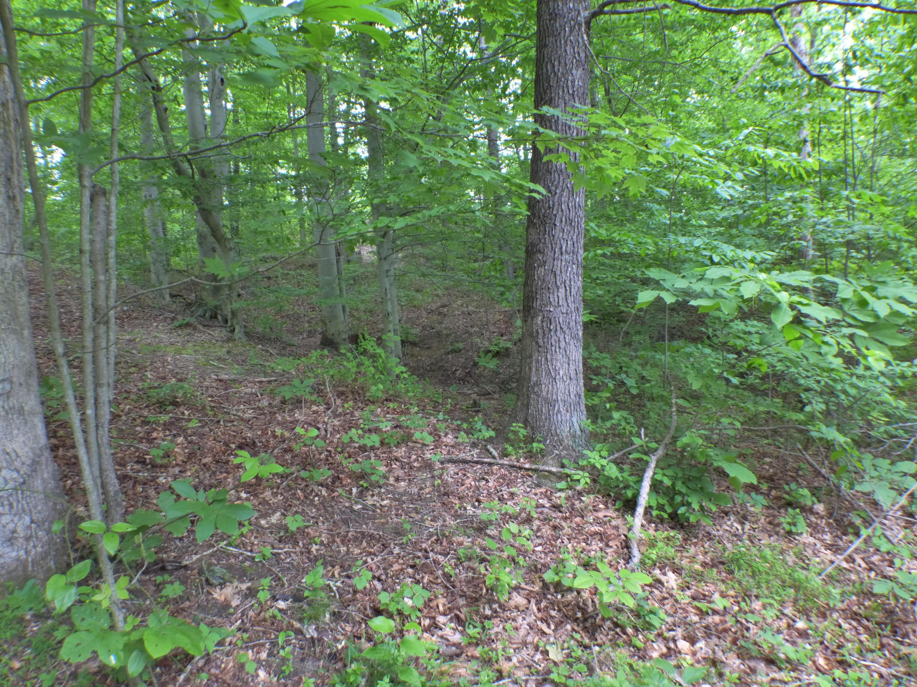 33982 Blackburn Road Logan, OH 43138 - Photo 15 of 21 Gallery Image 15