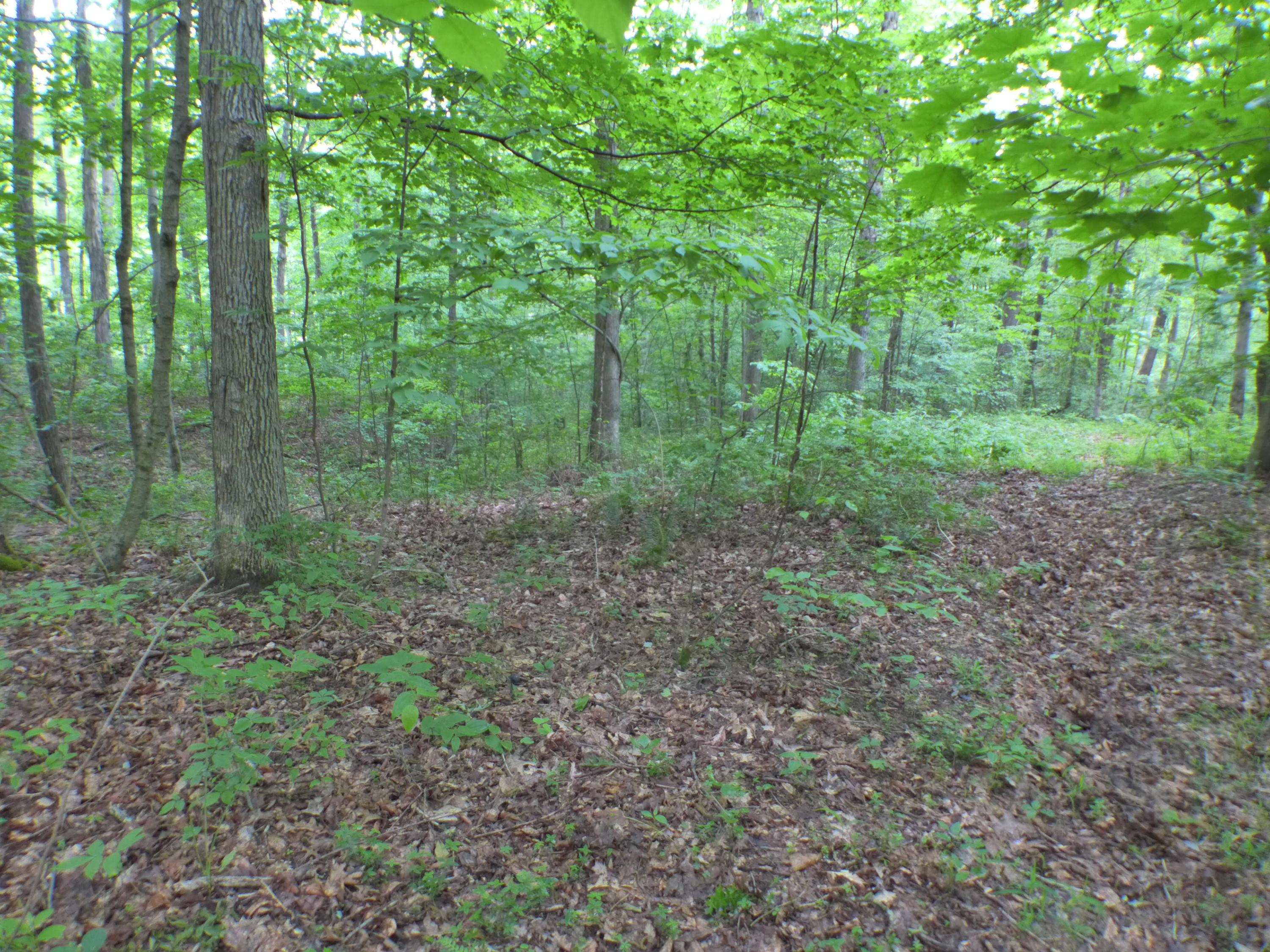 33982 Blackburn Road Logan, OH 43138 - Photo 6 of 21 Gallery Image 6