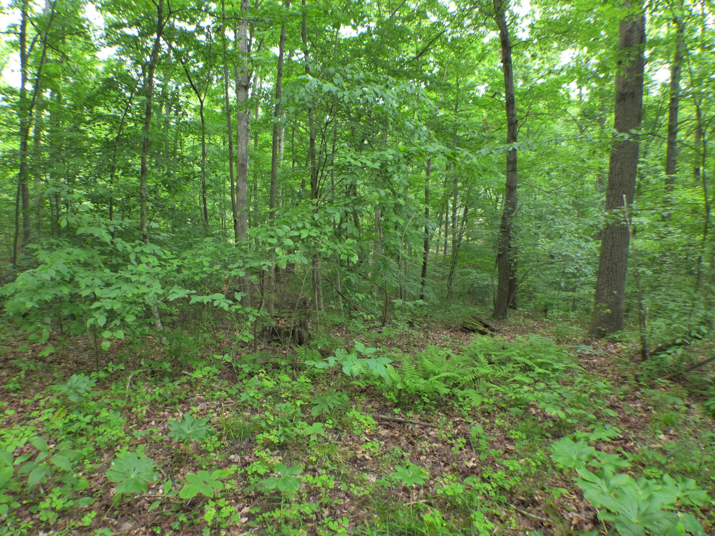 33982 Blackburn Road Logan, OH 43138 - Photo 9 of 21 Gallery Image 9