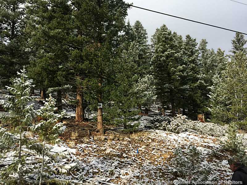 53 Redhill Road Fairplay, CO 80440 - Photo 2 of 25 Land/Lot.