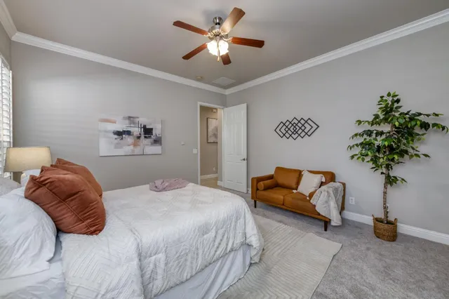 a bedroom with a bed couch and a potted plant