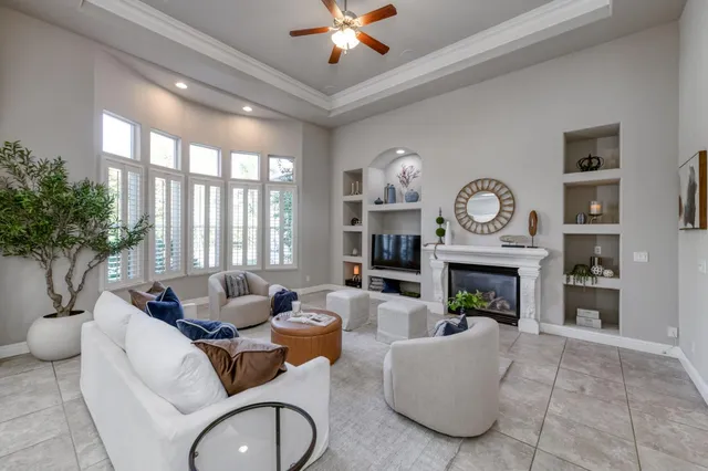 a living room with furniture a fireplace and a potted plant