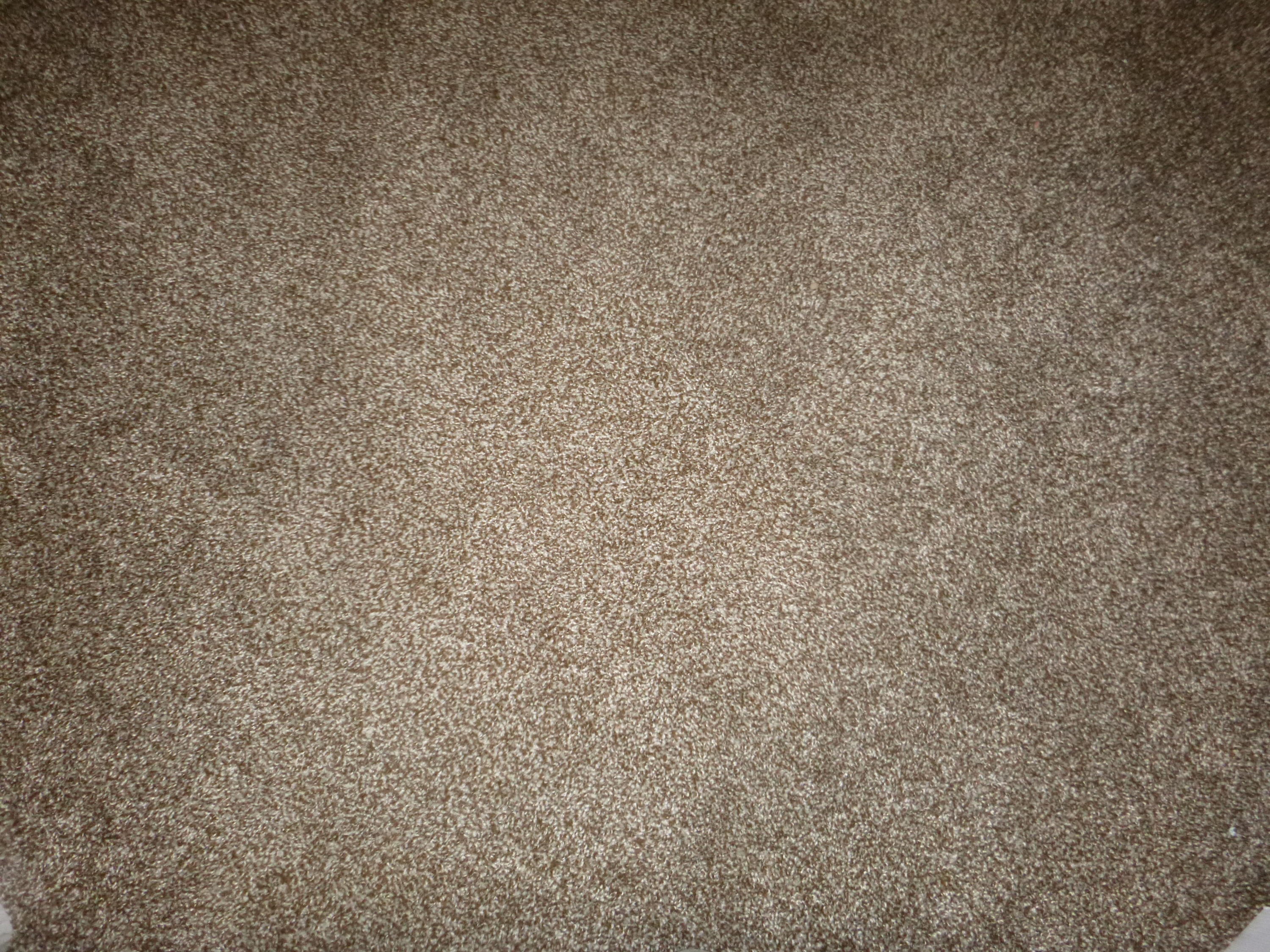 1120 Fernway Road Chattanooga, TN 37405 - Photo 18 of 28 New Carpet