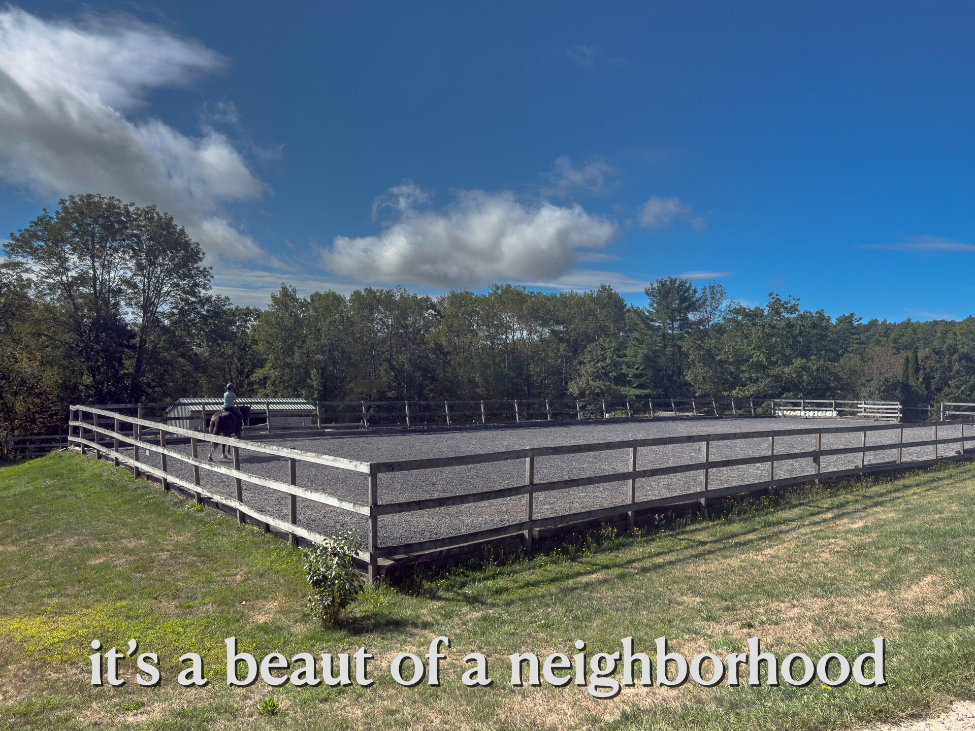 201 Lewis Hill Road Newcastle, ME 04553 - Photo 94 of 98 Dressage nearby