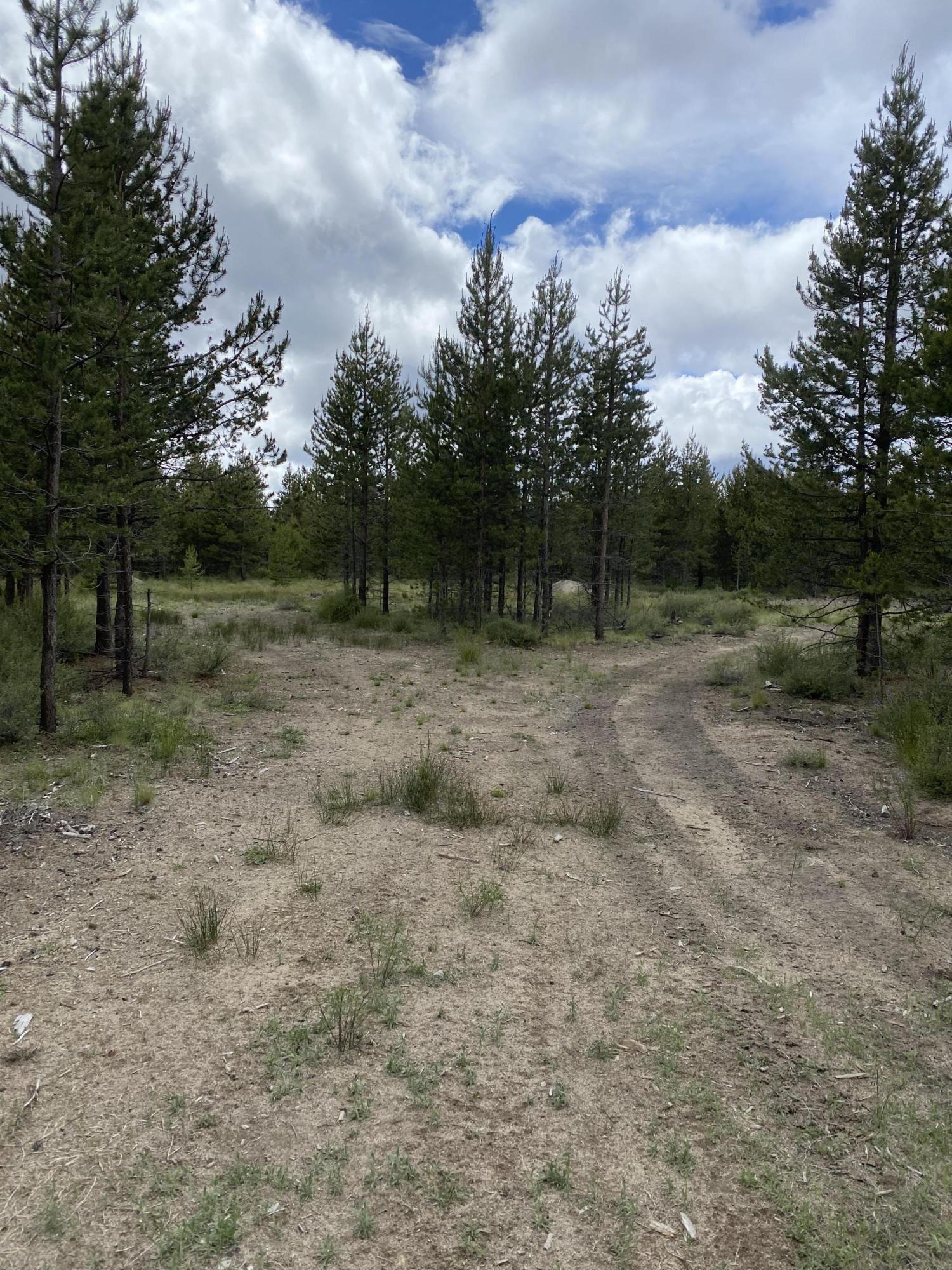 55145 Tamarack Road Bend, OR 97707 - Photo 1 of 5 IMG-0129