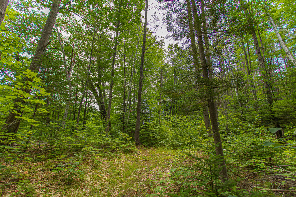 Tbd Town Farm Road Anson, ME 04911 - Photo 17 of 20 photo (7 of 20)