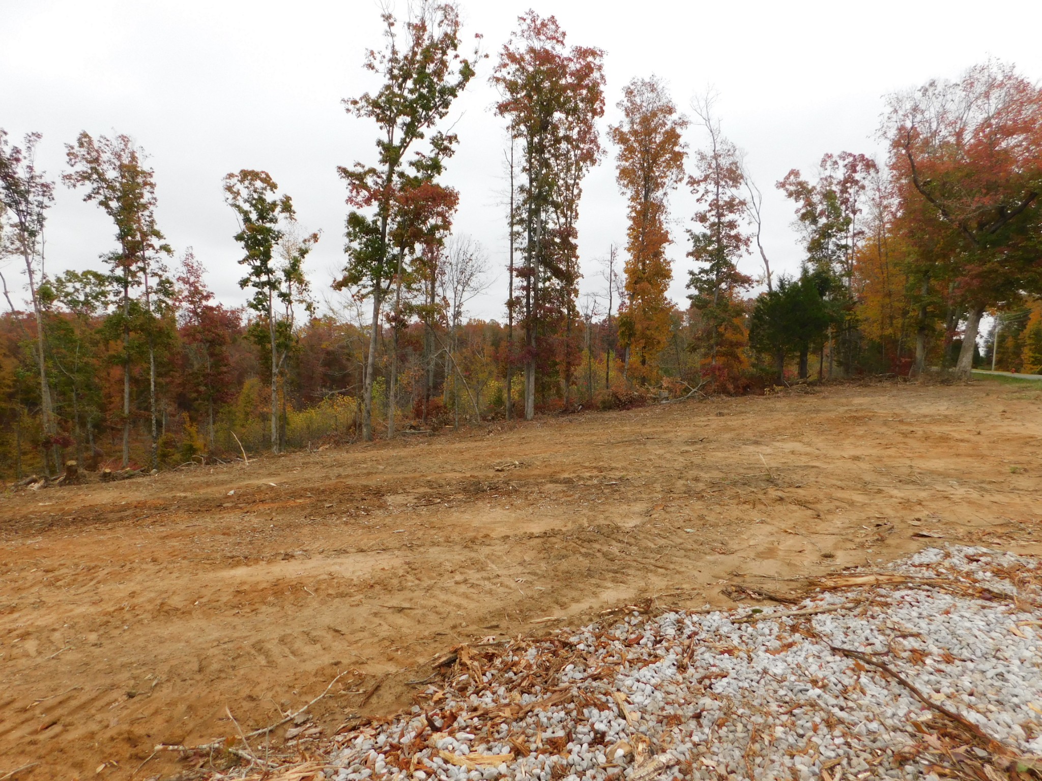 0 Ridge Road Waverly, TN 37185 - Photo 11 of 11 a view of a yard with trees