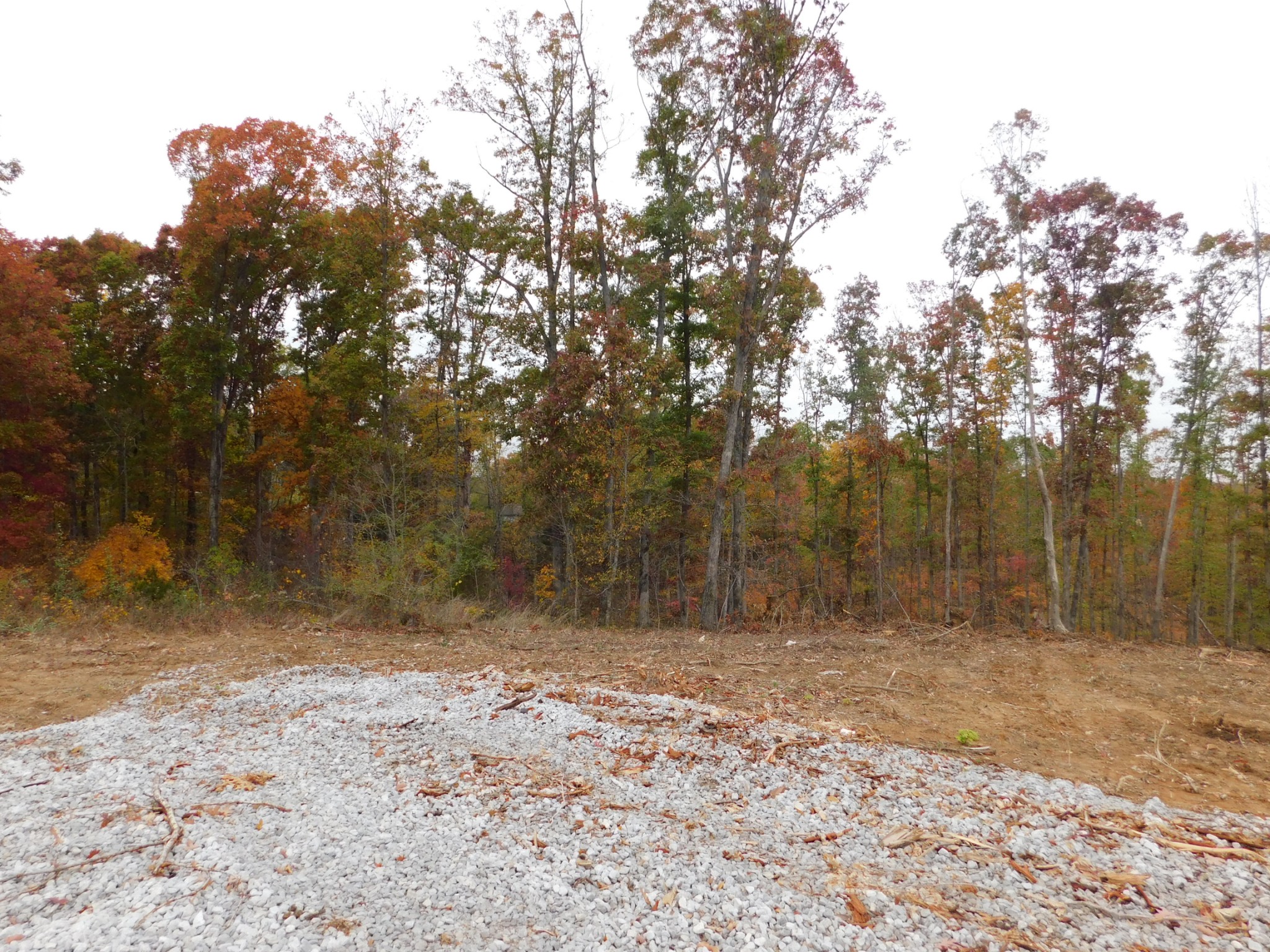 0 Ridge Road Waverly, TN 37185 - Photo 2 of 11 a view of a yard with trees