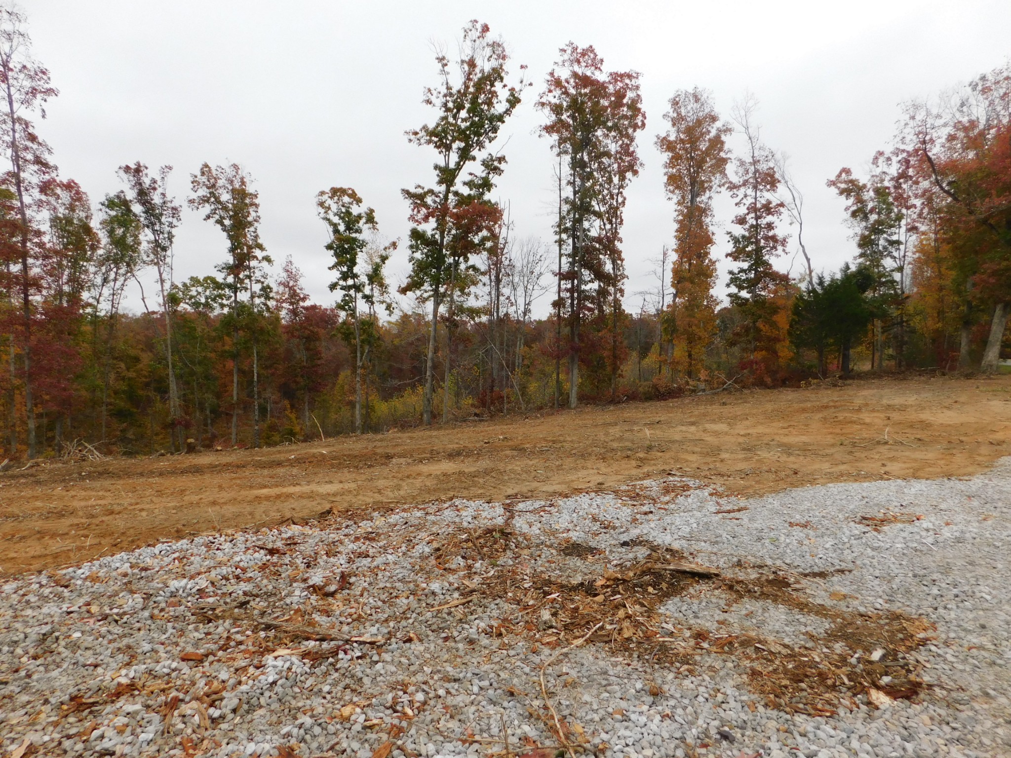0 Ridge Road Waverly, TN 37185 - Photo 3 of 11 a view of a backyard