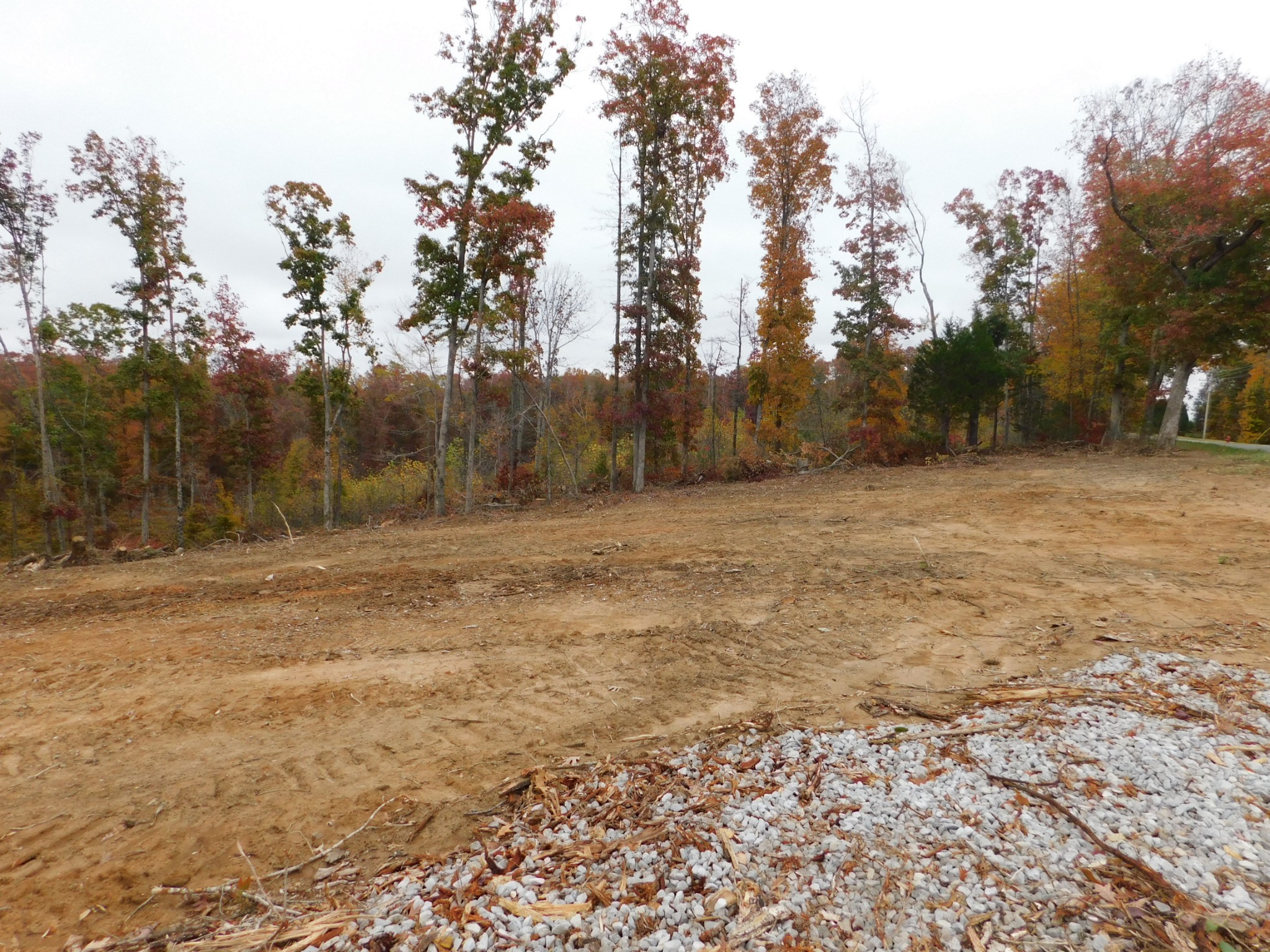0 Ridge Road Waverly, TN 37185 - Photo 4 of 11 a view of a field with trees in the background