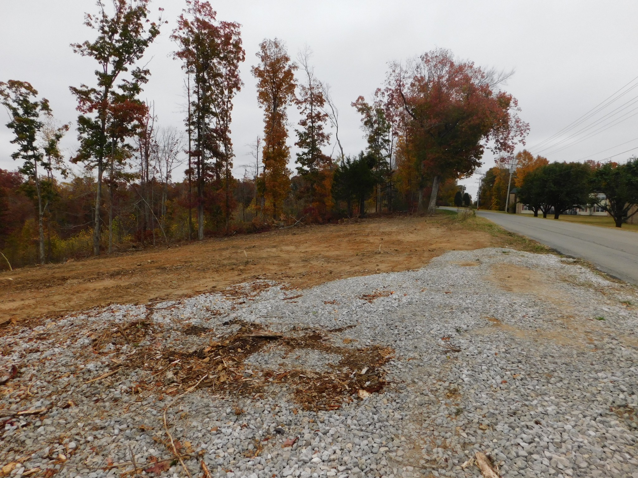 0 Ridge Road Waverly, TN 37185 - Photo 6 of 11 a view of dirt field with trees